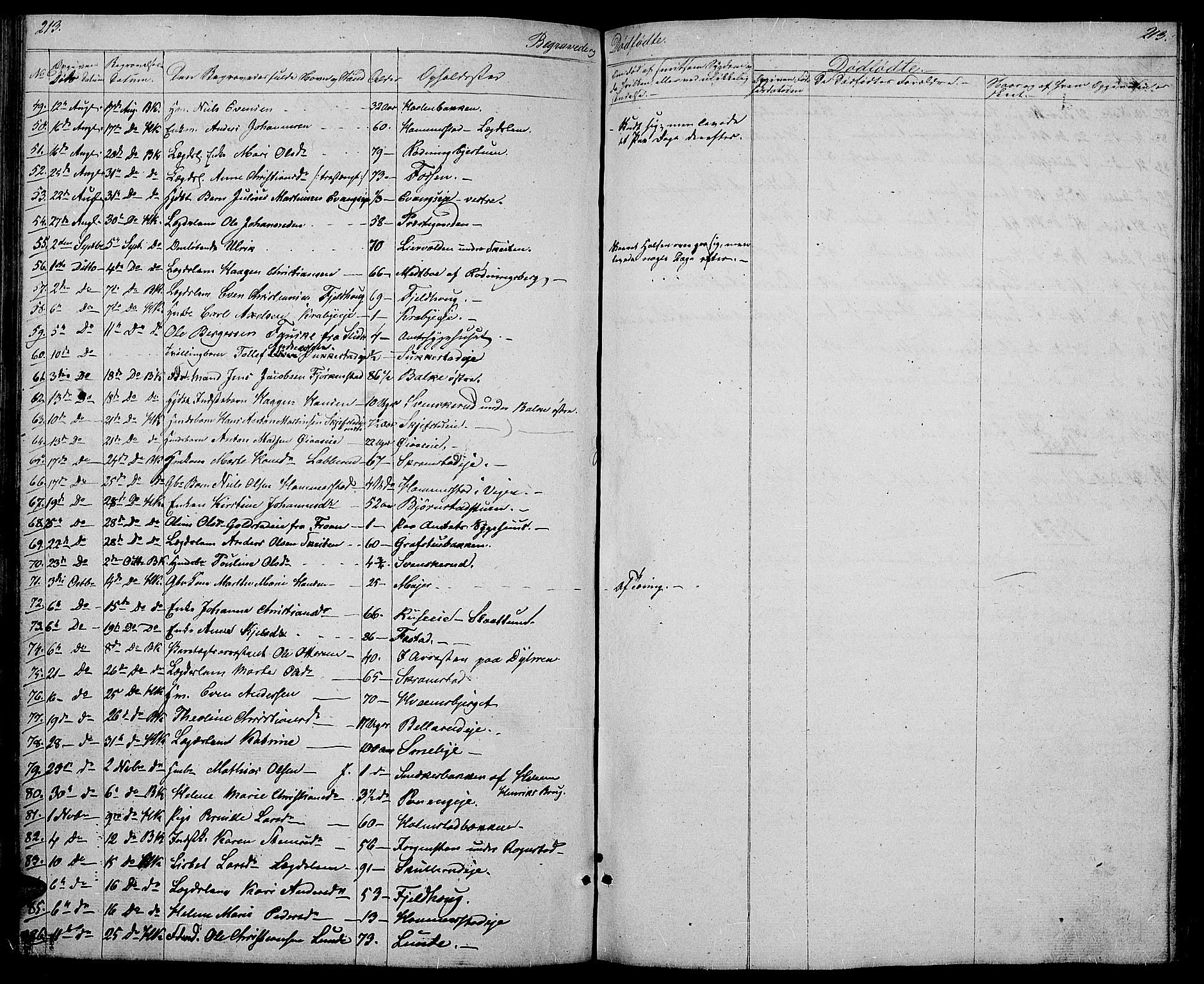 Østre Toten prestekontor, SAH/PREST-104/H/Ha/Hab/L0003: Parish register (copy) no. 3, 1848-1857, p. 213