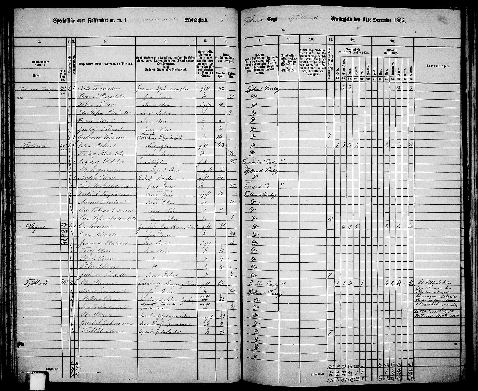 RA, 1865 census for Fjotland, 1865, p. 43