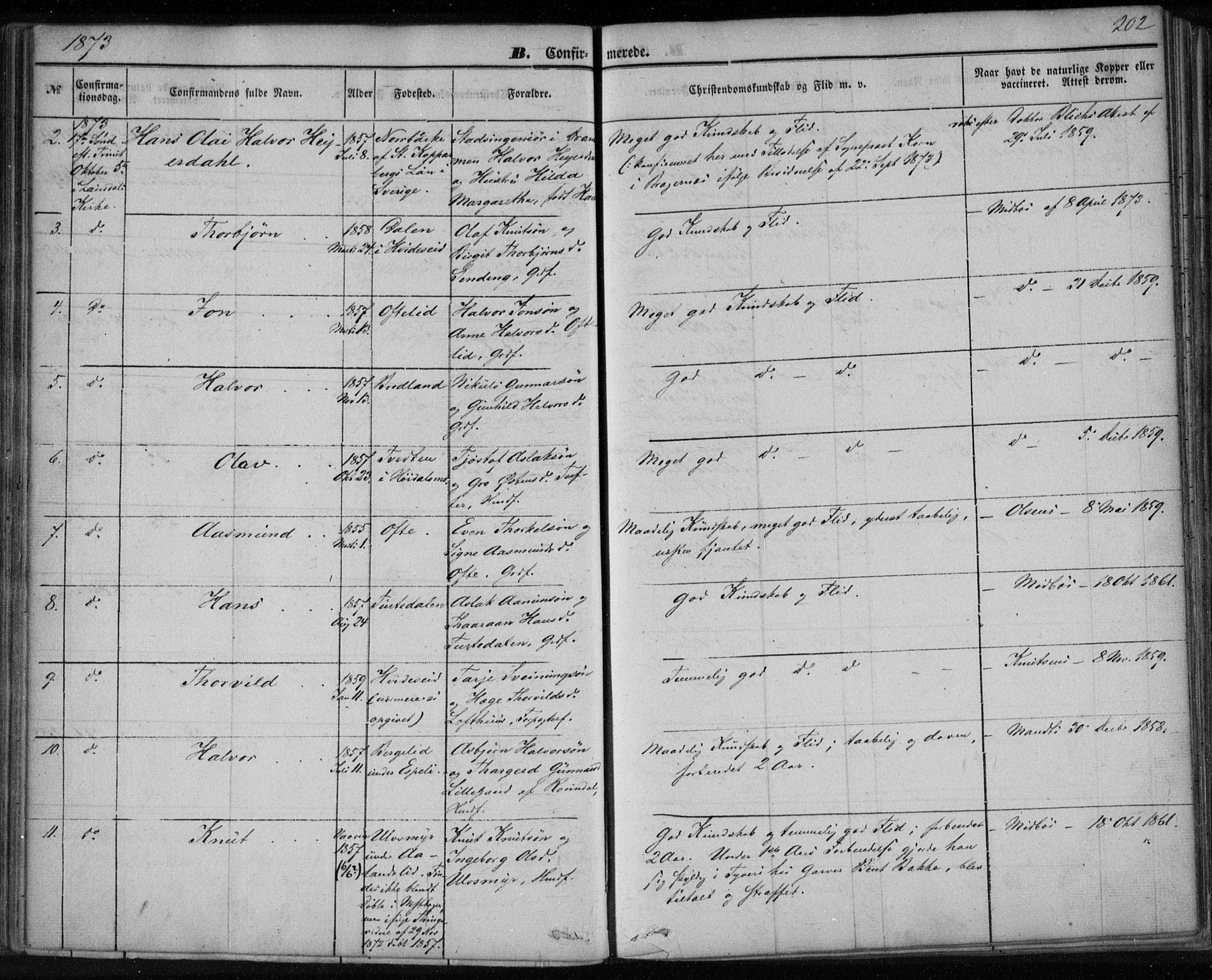 Lårdal kirkebøker, SAKO/A-284/F/Fa/L0006: Parish register (official) no. I 6, 1861-1886, p. 202