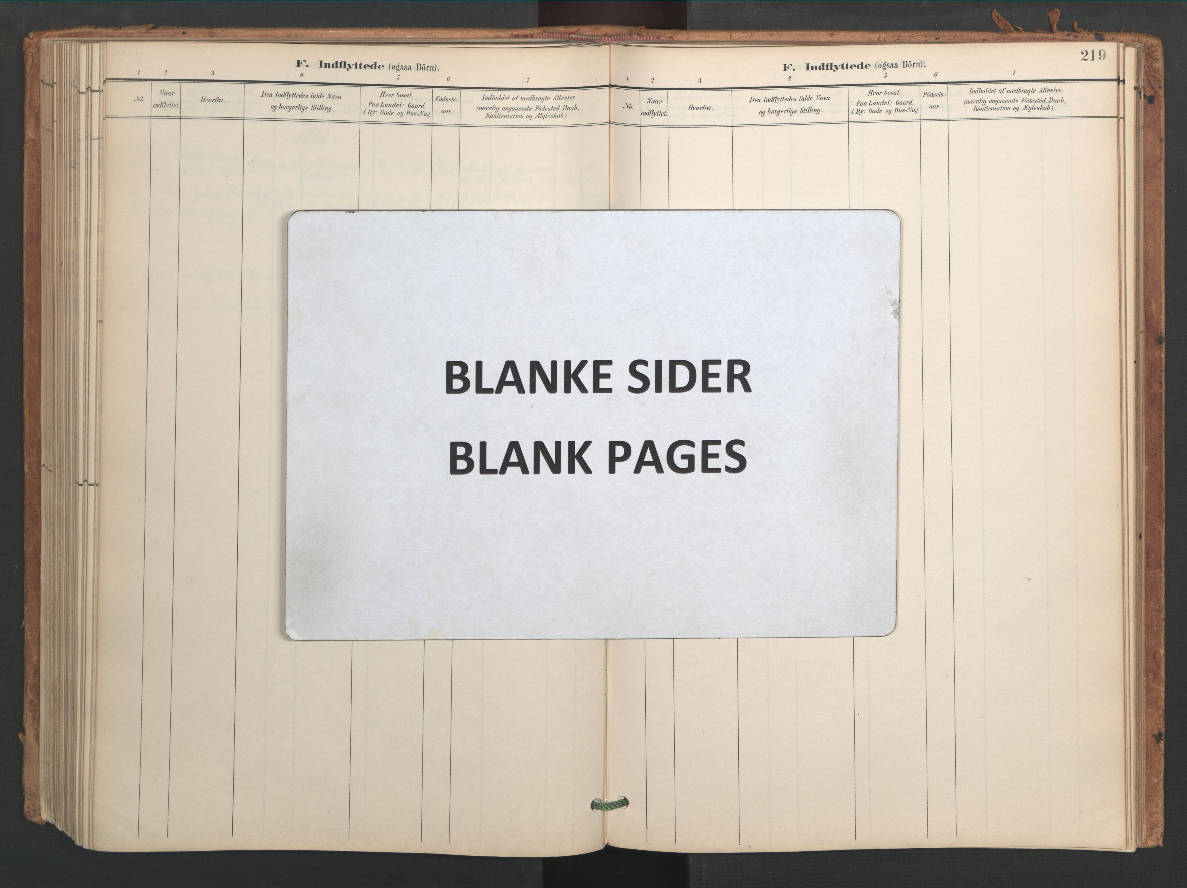 Ministerialprotokoller, klokkerbøker og fødselsregistre - Sør-Trøndelag, SAT/A-1456/656/L0693: Parish register (official) no. 656A02, 1894-1913, p. 219