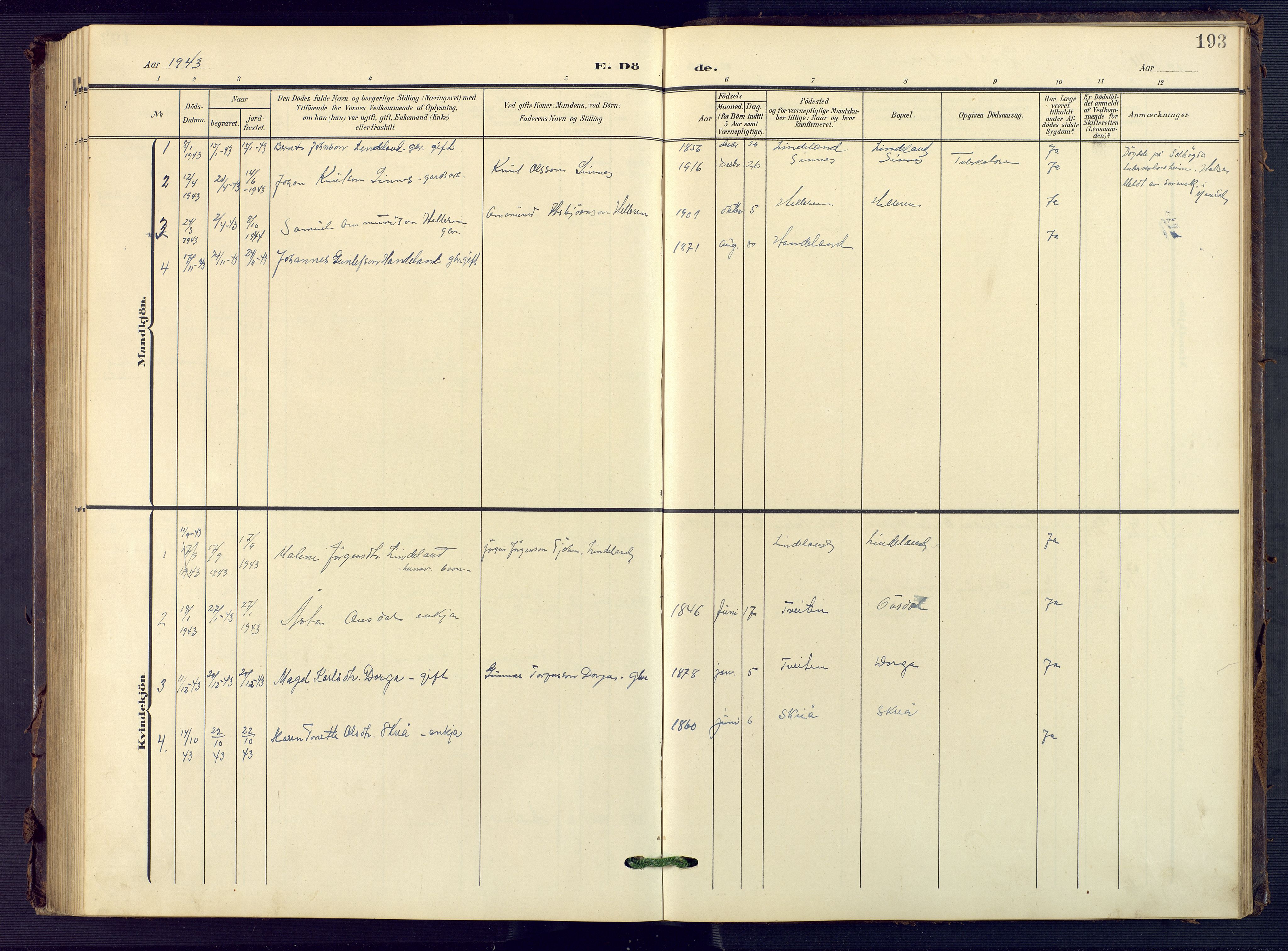 Sirdal sokneprestkontor, AV/SAK-1111-0036/F/Fb/Fba/L0002: Parish register (copy) no. B 2, 1905-1958, p. 193