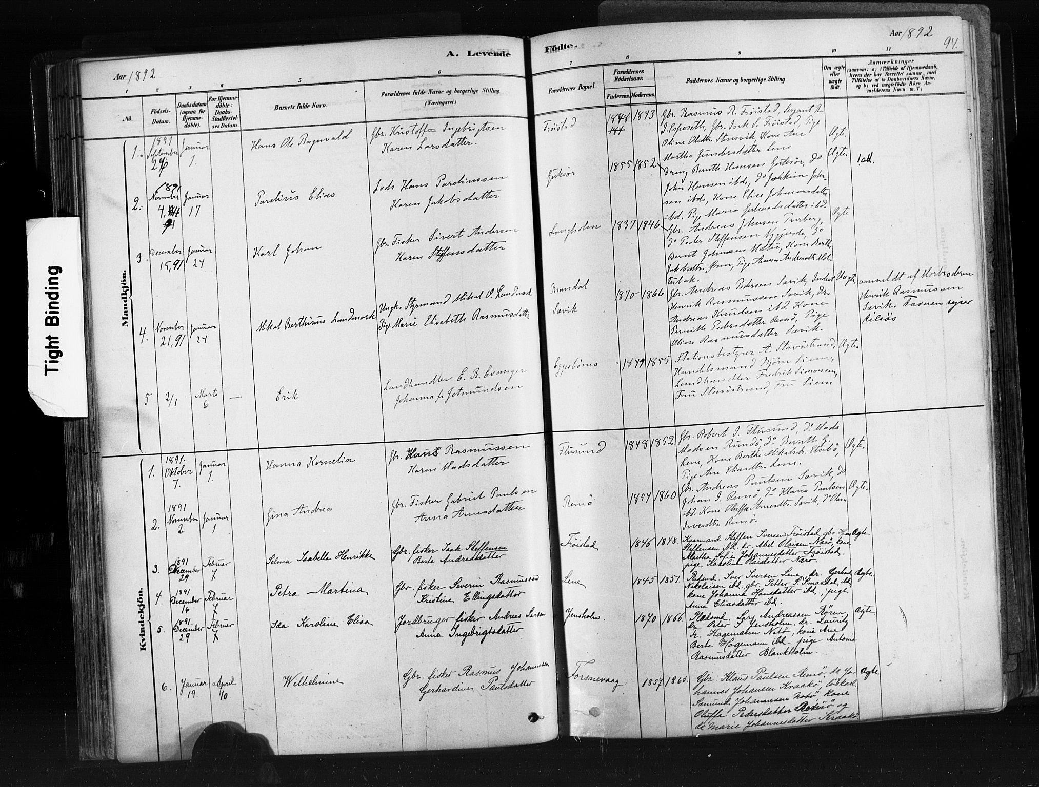 Ministerialprotokoller, klokkerbøker og fødselsregistre - Møre og Romsdal, SAT/A-1454/507/L0073: Parish register (official) no. 507A08, 1878-1904, p. 94