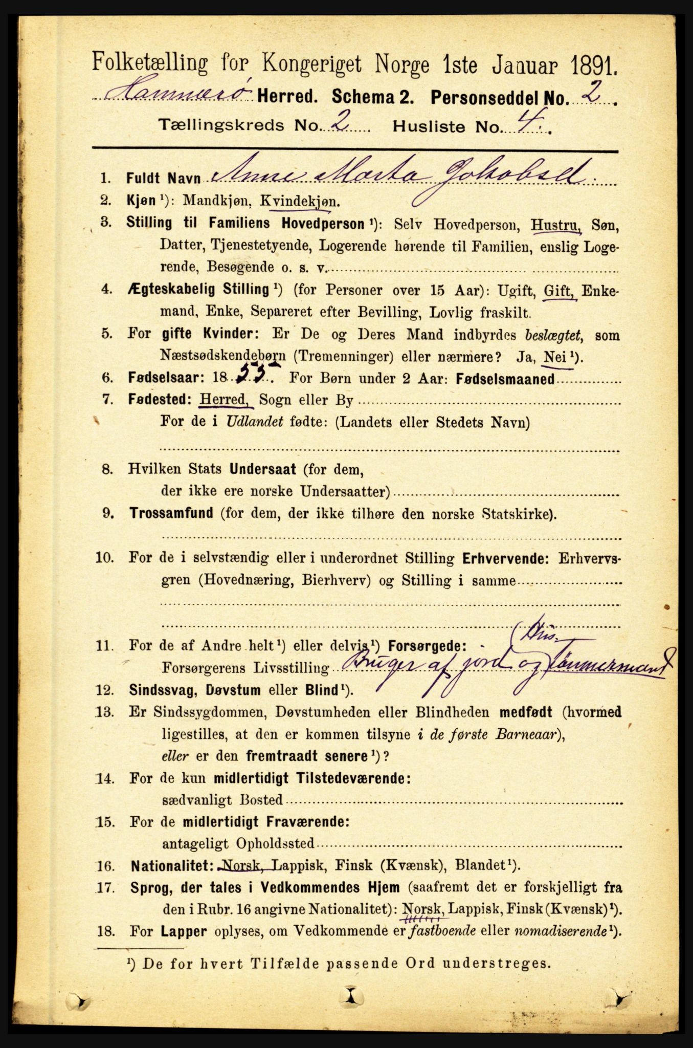 RA, 1891 census for 1849 Hamarøy, 1891, p. 597