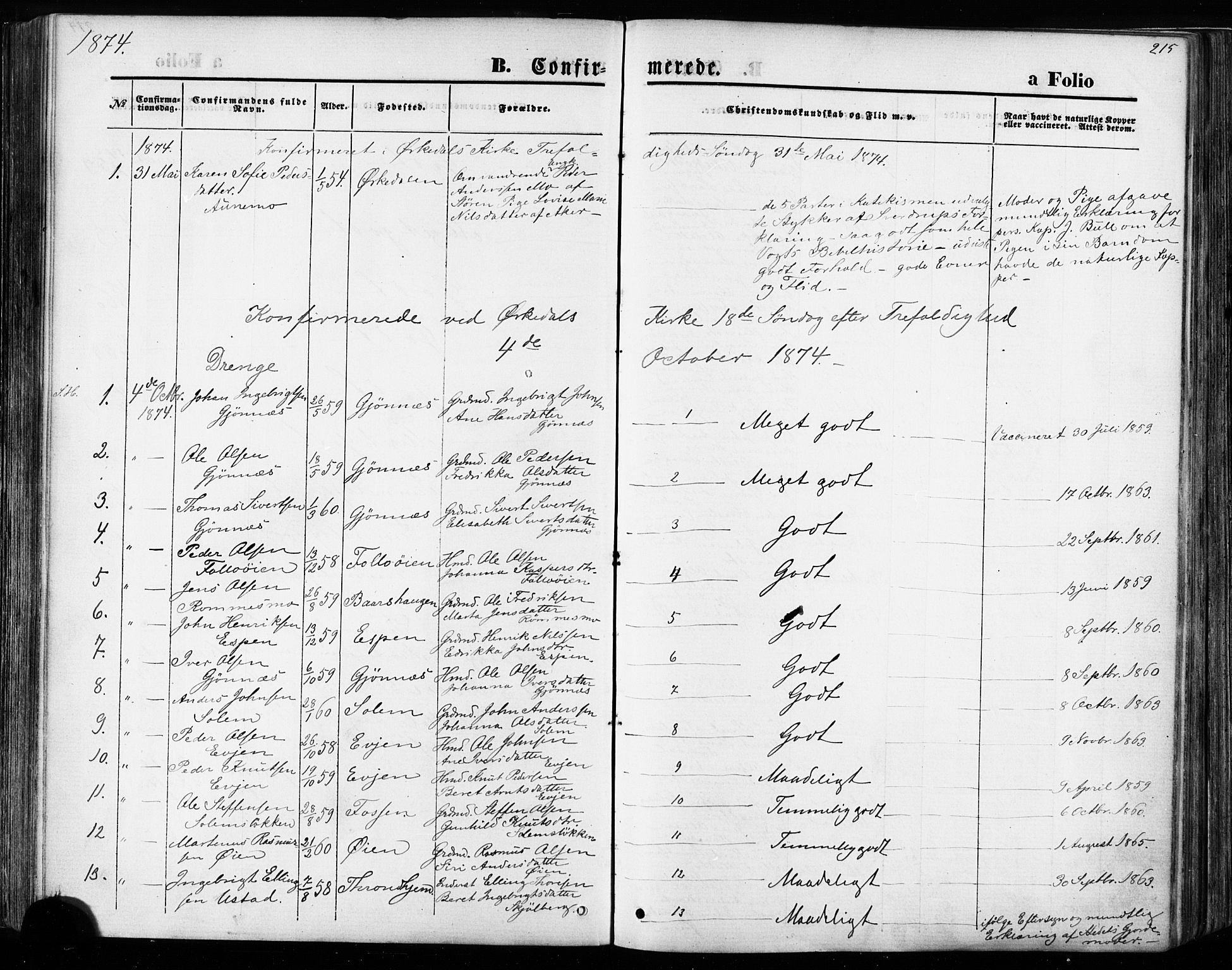 Ministerialprotokoller, klokkerbøker og fødselsregistre - Sør-Trøndelag, SAT/A-1456/668/L0807: Parish register (official) no. 668A07, 1870-1880, p. 215