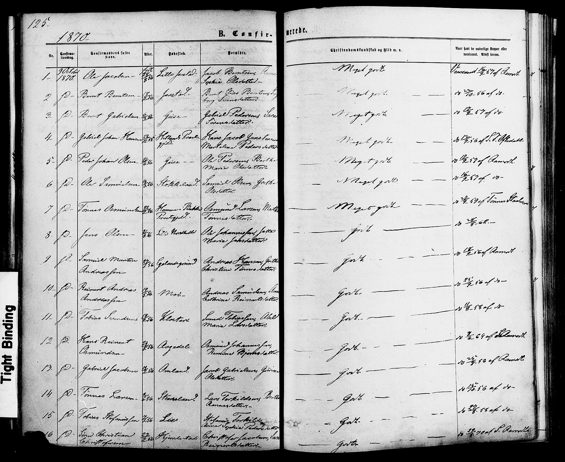 Kvinesdal sokneprestkontor, SAK/1111-0026/F/Fa/Fab/L0007: Parish register (official) no. A 7, 1870-1885, p. 125