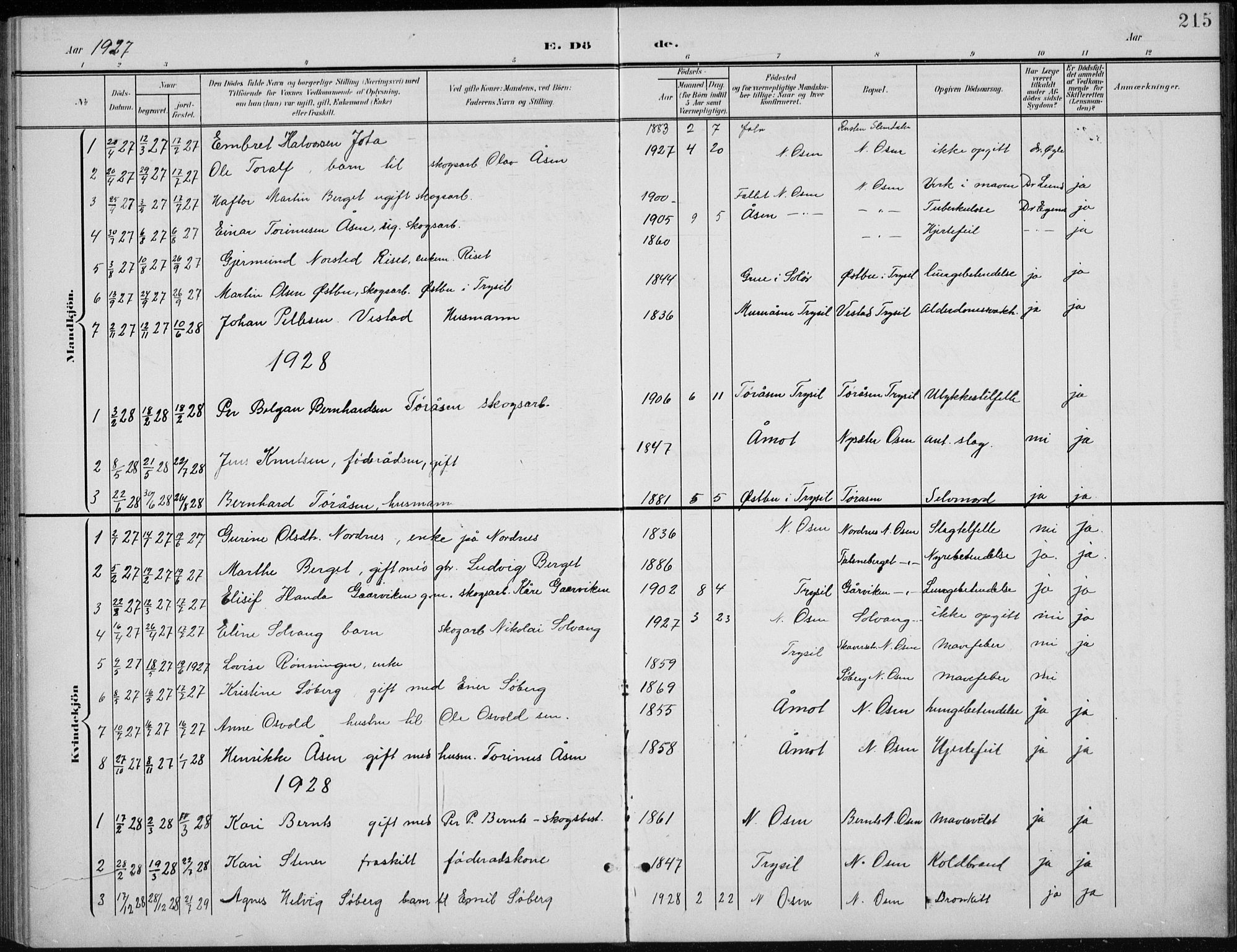 Åmot prestekontor, Hedmark, SAH/PREST-056/H/Ha/Hab/L0003: Parish register (copy) no. 3, 1902-1938, p. 215