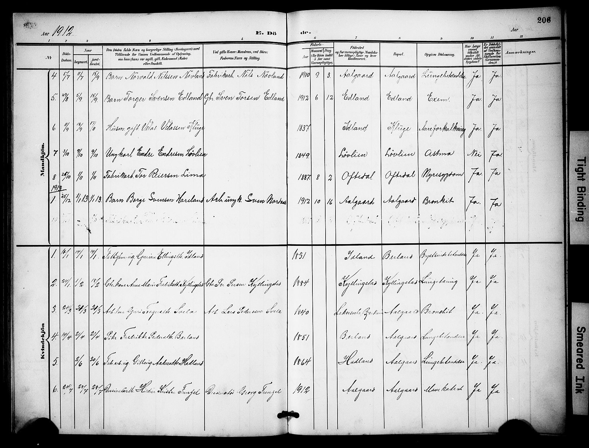 Lye sokneprestkontor, SAST/A-101794/001/30BB/L0009: Parish register (copy) no. B 9, 1902-1923, p. 206