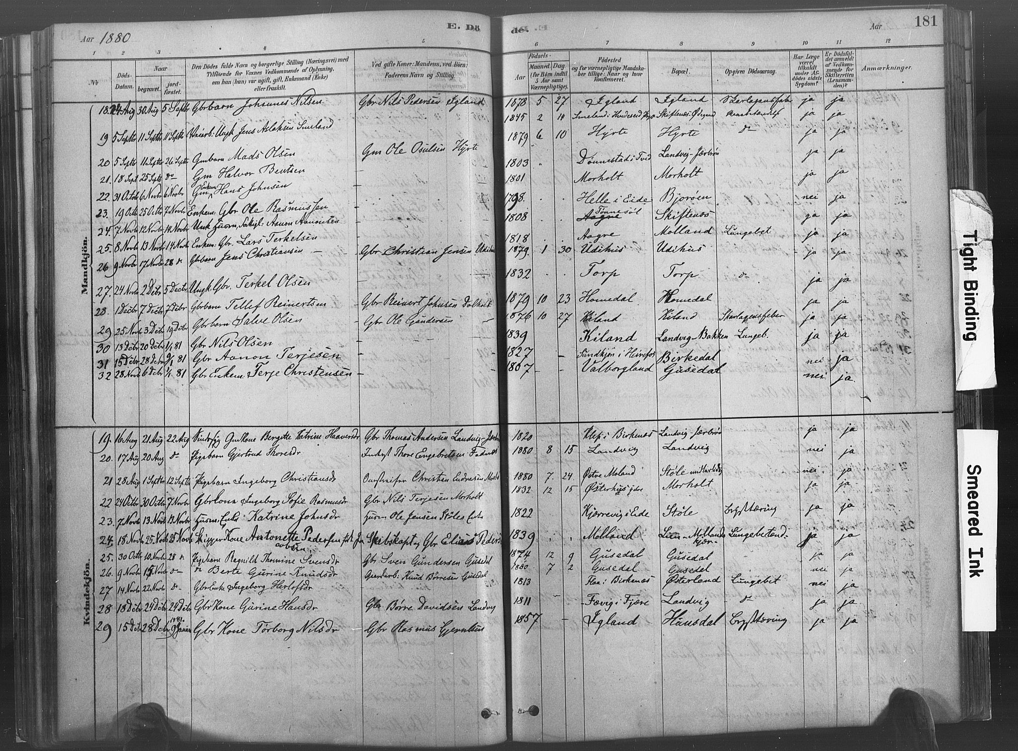 Hommedal sokneprestkontor, AV/SAK-1111-0023/F/Fa/Fab/L0006: Parish register (official) no. A 6, 1878-1897, p. 181