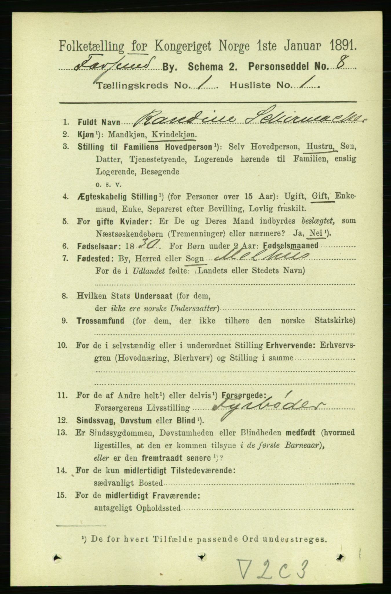 RA, 1891 census for 1003 Farsund, 1891, p. 514