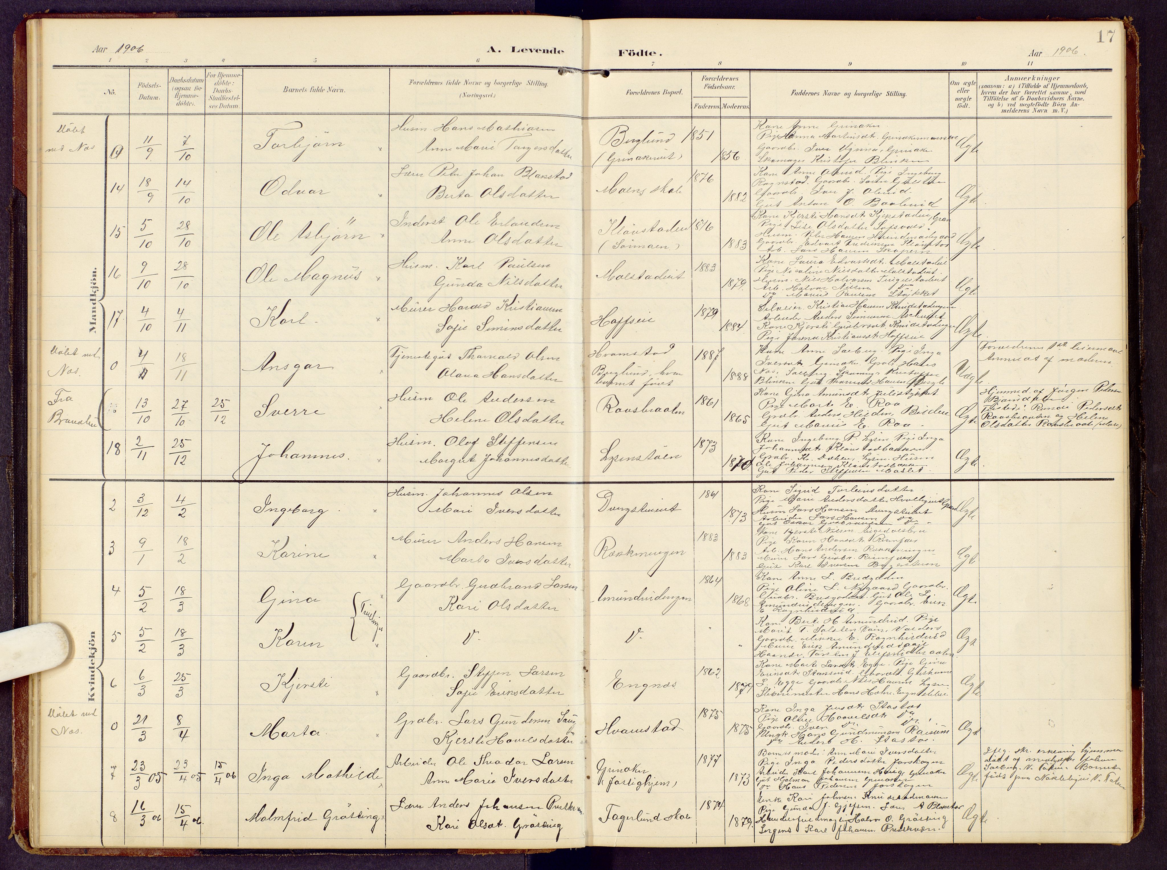 Brandbu prestekontor, SAH/PREST-114/H/Ha/Hab/L0009: Parish register (copy) no. 9, 1903-1916, p. 17