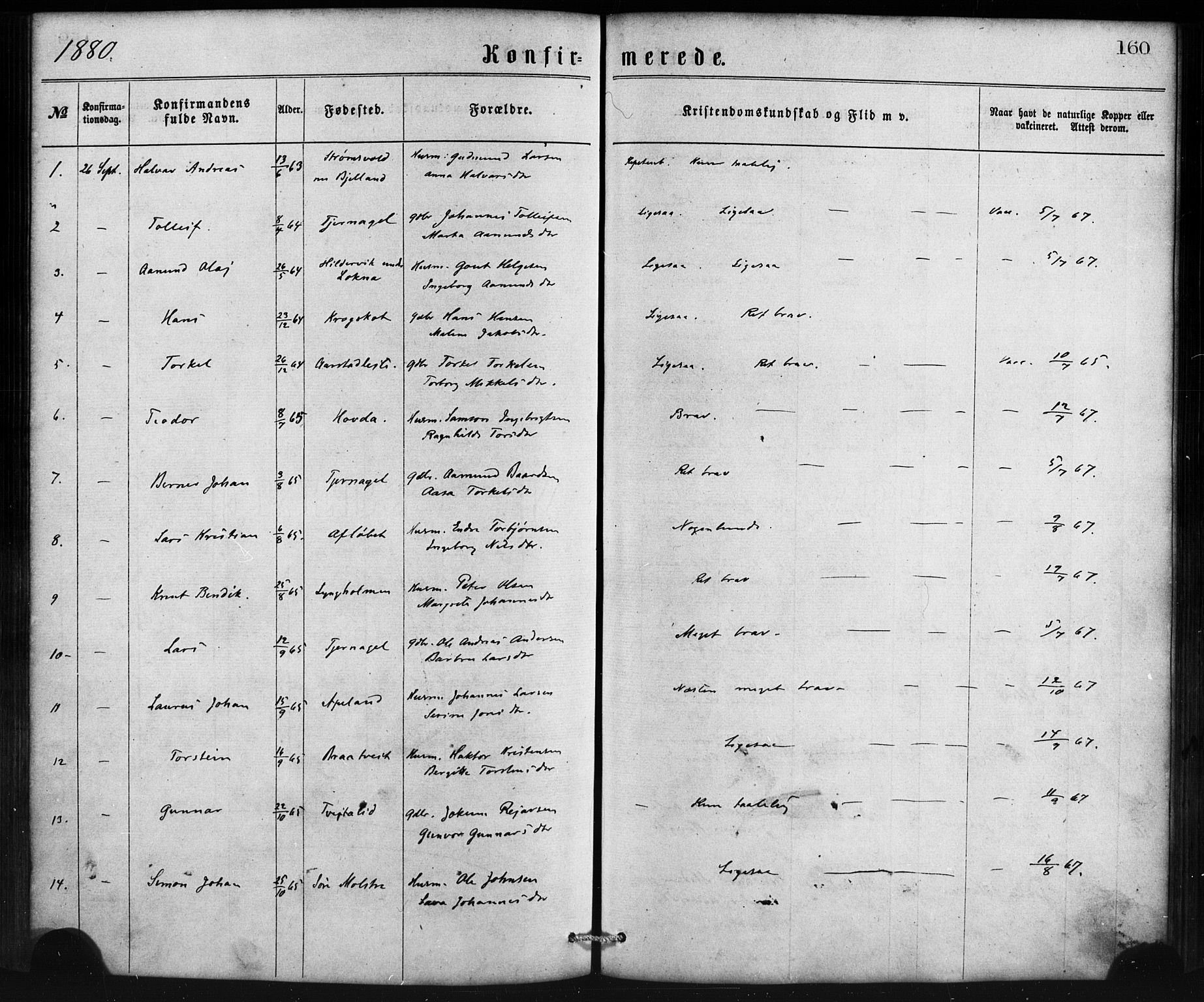 Sveio Sokneprestembete, SAB/A-78501/H/Haa: Parish register (official) no. B 1, 1870-1883, p. 160