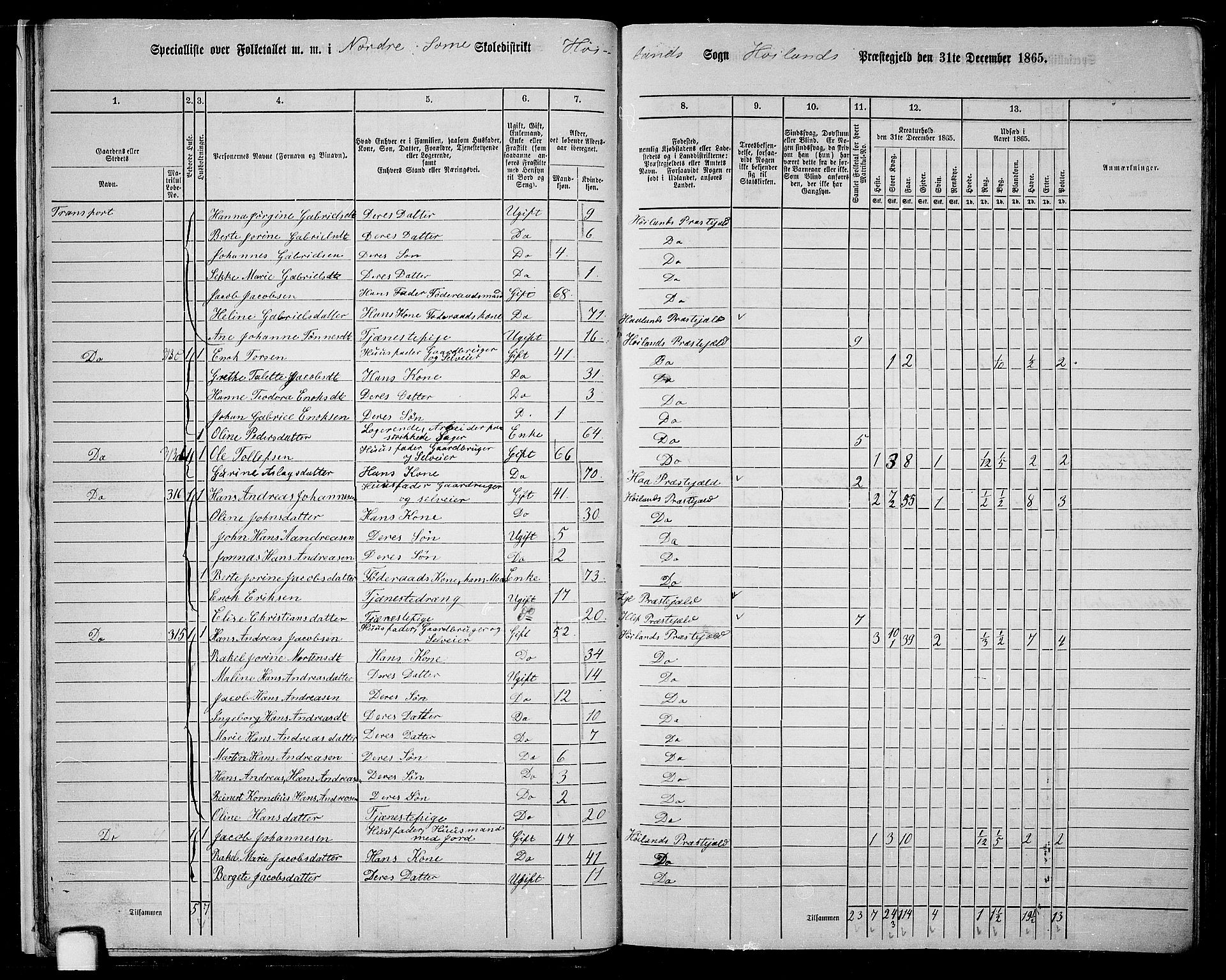 RA, 1865 census for Høyland, 1865, p. 17