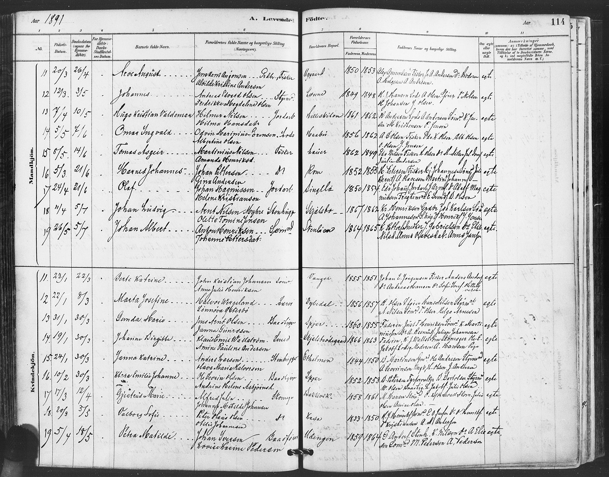 Hvaler prestekontor Kirkebøker, AV/SAO-A-2001/F/Fa/L0008: Parish register (official) no. I 8, 1878-1895, p. 114