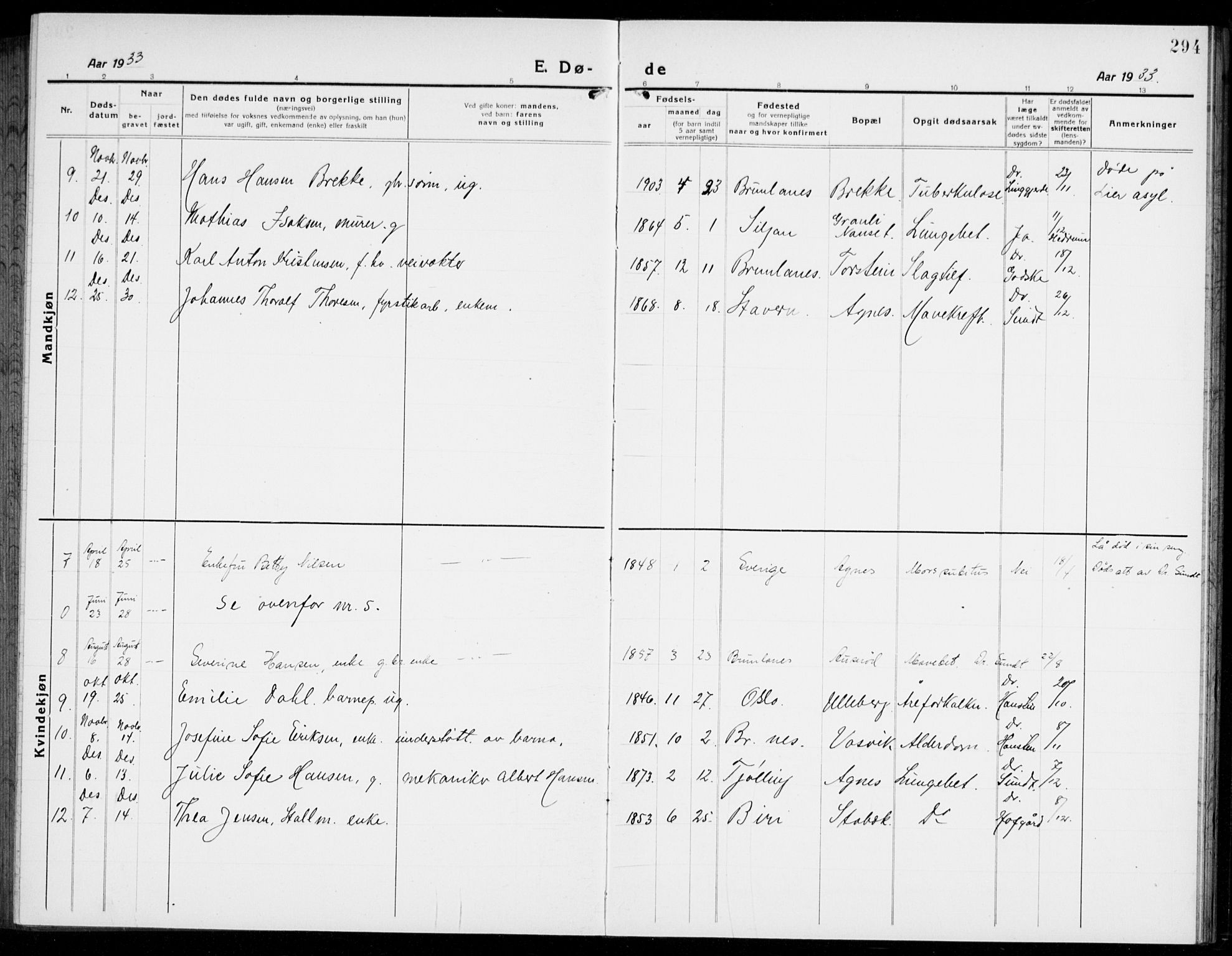 Brunlanes kirkebøker, SAKO/A-342/G/Ga/L0005: Parish register (copy) no. I 5, 1918-1941, p. 294
