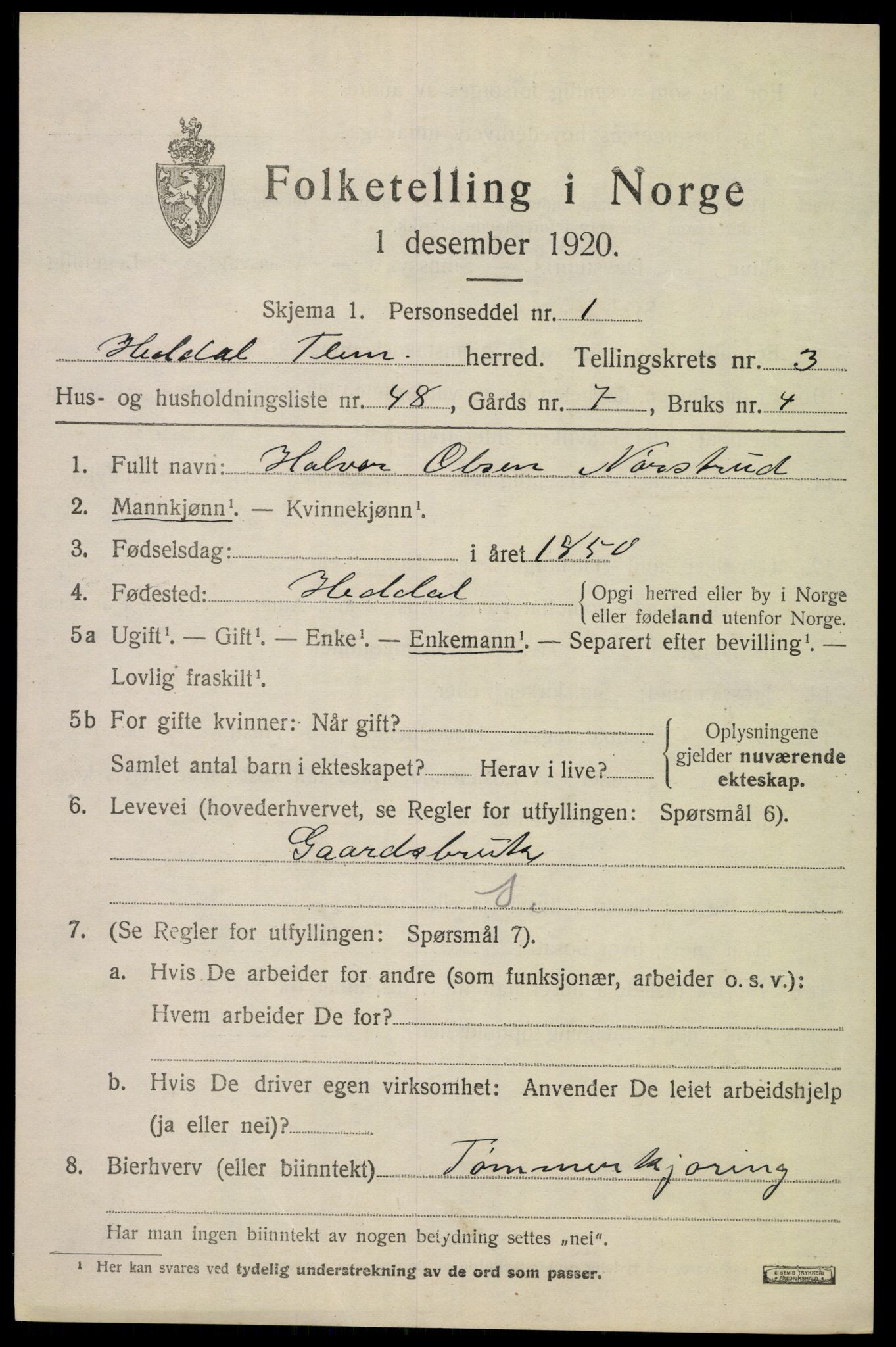 SAKO, 1920 census for Heddal, 1920, p. 4128