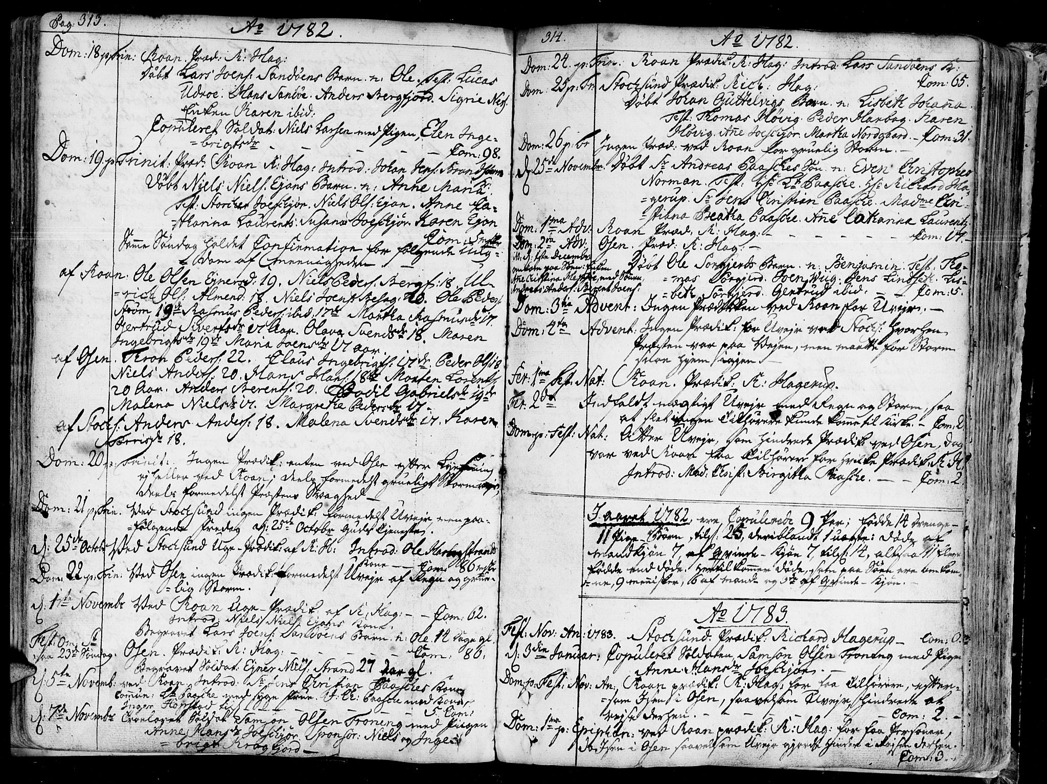 Ministerialprotokoller, klokkerbøker og fødselsregistre - Sør-Trøndelag, SAT/A-1456/657/L0700: Parish register (official) no. 657A01, 1732-1801, p. 313-314