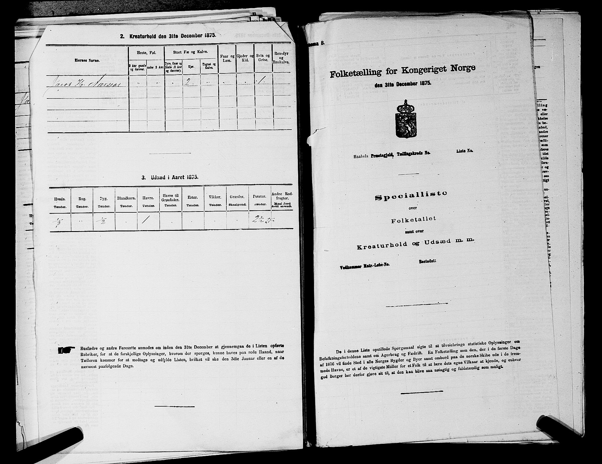 RA, 1875 census for 0218aP Vestre Aker, 1875, p. 810