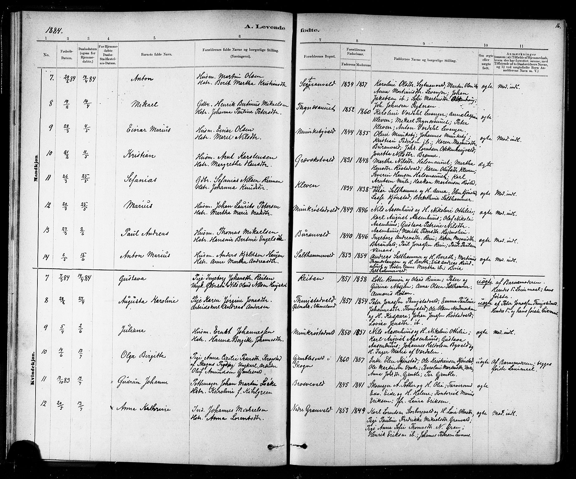 Ministerialprotokoller, klokkerbøker og fødselsregistre - Nord-Trøndelag, SAT/A-1458/721/L0208: Parish register (copy) no. 721C01, 1880-1917, p. 16
