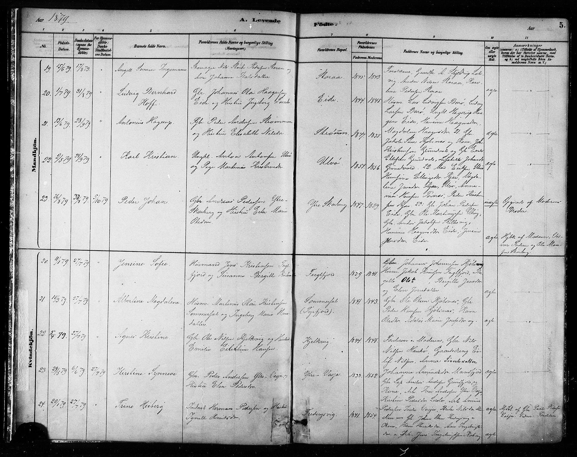 Ministerialprotokoller, klokkerbøker og fødselsregistre - Nordland, AV/SAT-A-1459/861/L0868: Parish register (official) no. 861A03, 1879-1889, p. 5