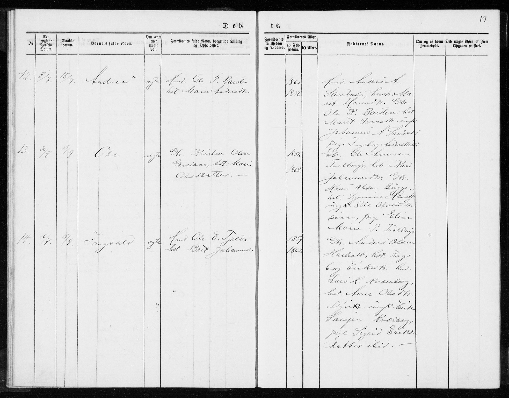 Ministerialprotokoller, klokkerbøker og fødselsregistre - Møre og Romsdal, AV/SAT-A-1454/551/L0631: Parish register (copy) no. 551C03, 1886-1894, p. 17