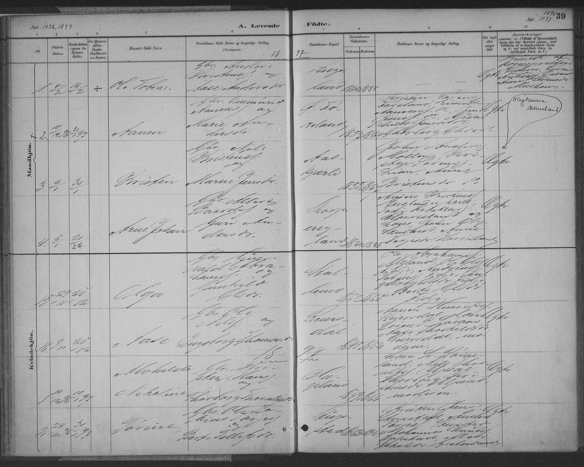 Vennesla sokneprestkontor, AV/SAK-1111-0045/Fa/Fac/L0009: Parish register (official) no. A 9, 1884-1901, p. 39