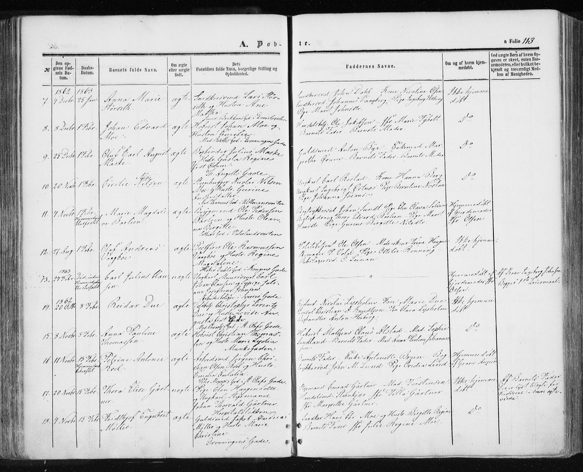 Ministerialprotokoller, klokkerbøker og fødselsregistre - Sør-Trøndelag, AV/SAT-A-1456/601/L0053: Parish register (official) no. 601A21, 1857-1865, p. 113