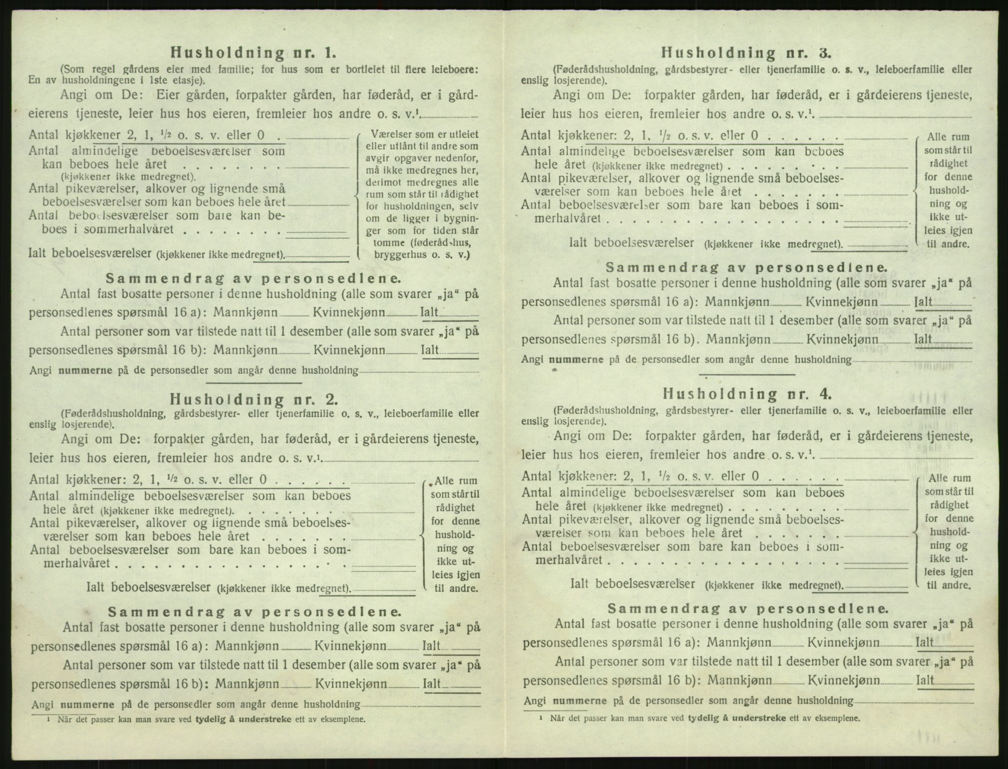 SAK, 1920 census for Hornnes, 1920, p. 392