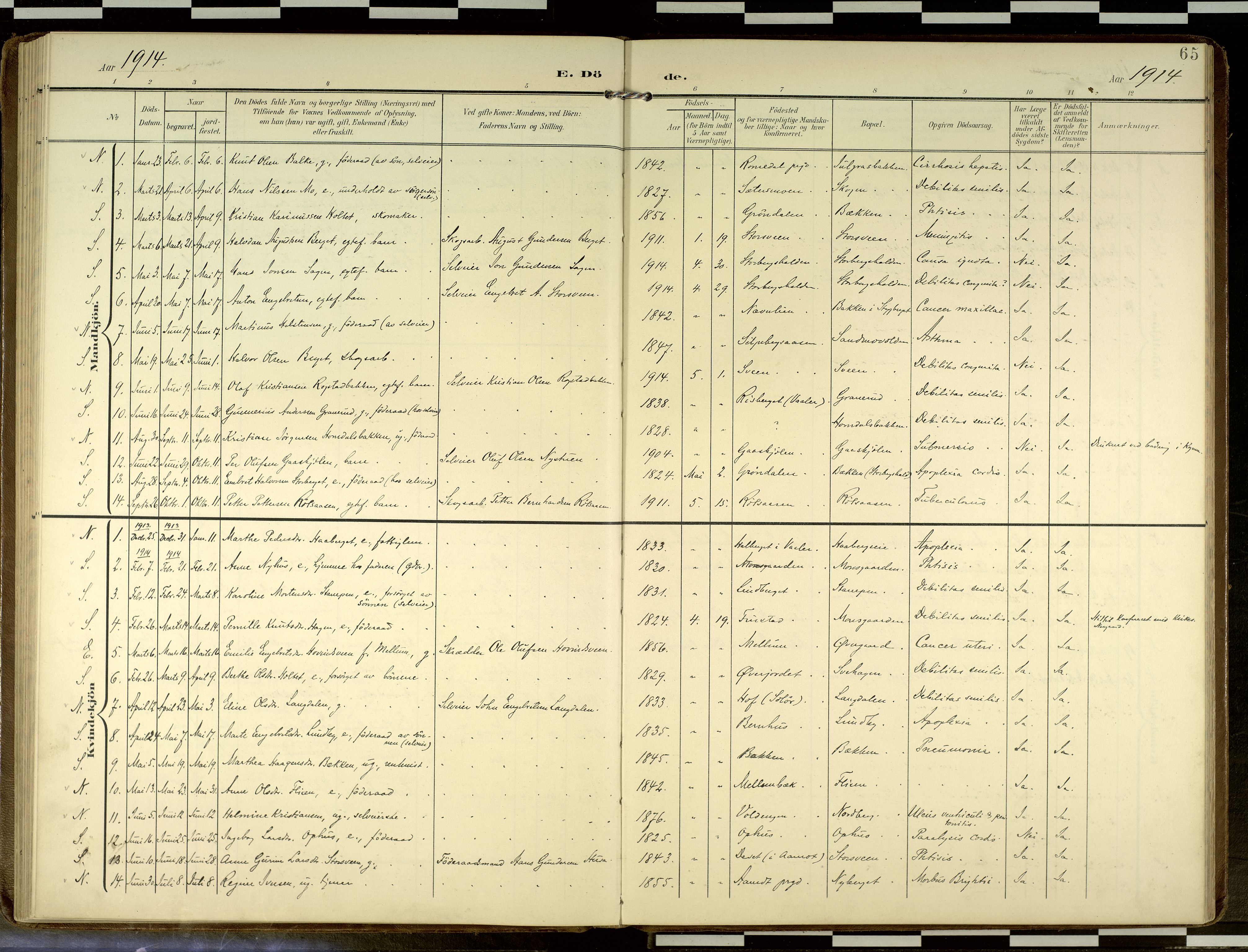 Elverum prestekontor, AV/SAH-PREST-044/H/Ha/Haa/L0019: Parish register (official) no. 19, 1903-1926, p. 65