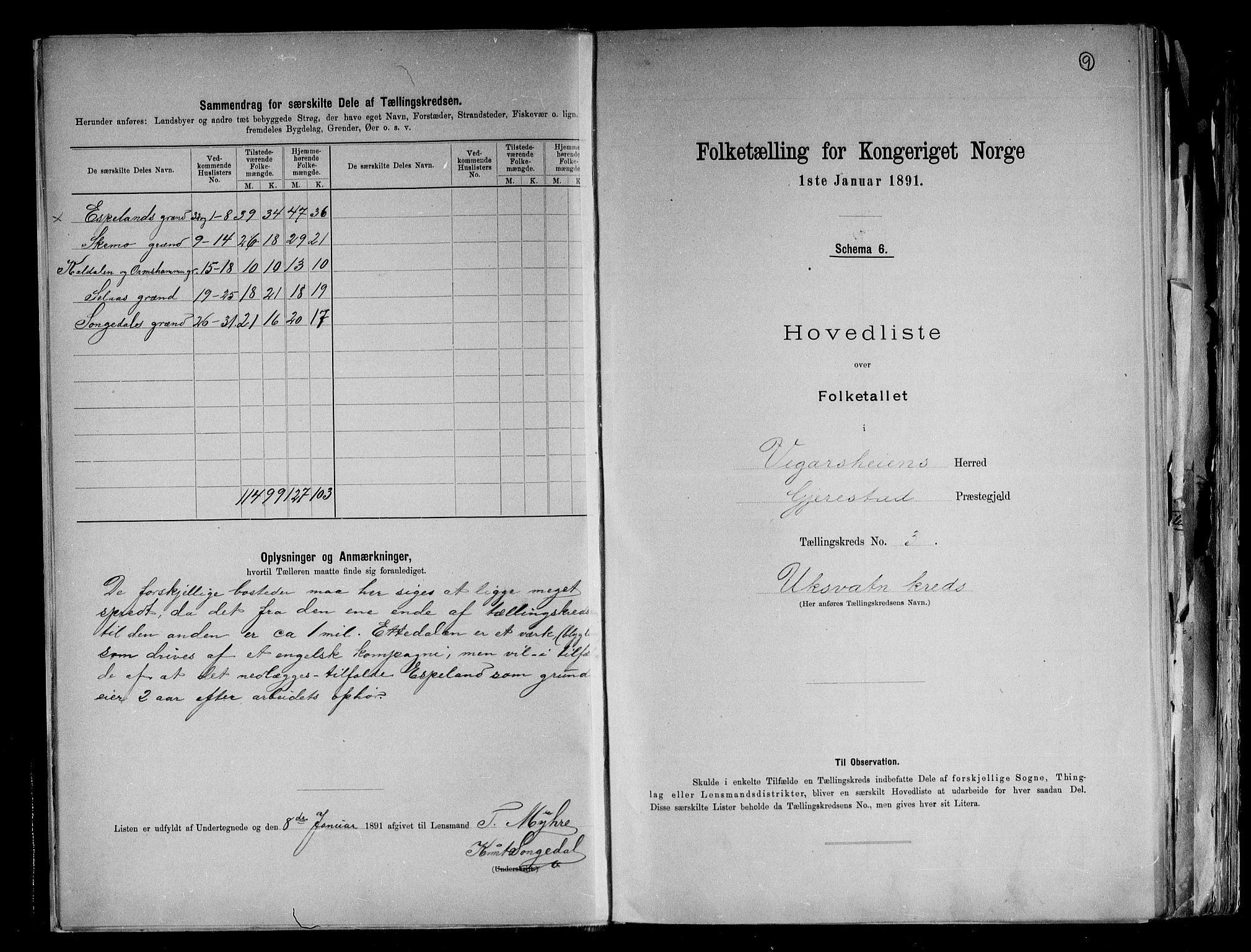 RA, 1891 census for 0912 Vegårshei, 1891, p. 9