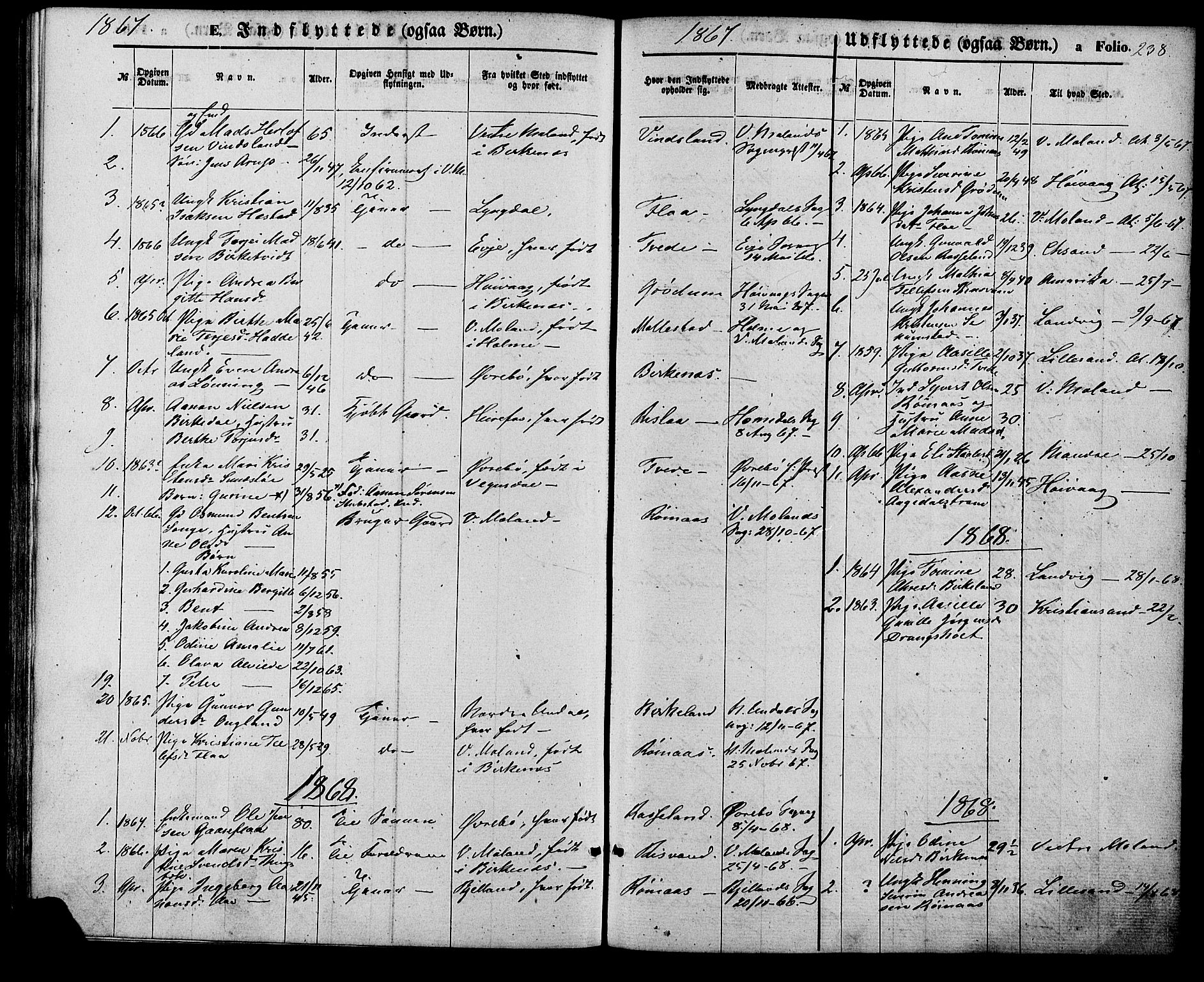 Birkenes sokneprestkontor, AV/SAK-1111-0004/F/Fa/L0004: Parish register (official) no. A 4, 1867-1886, p. 238