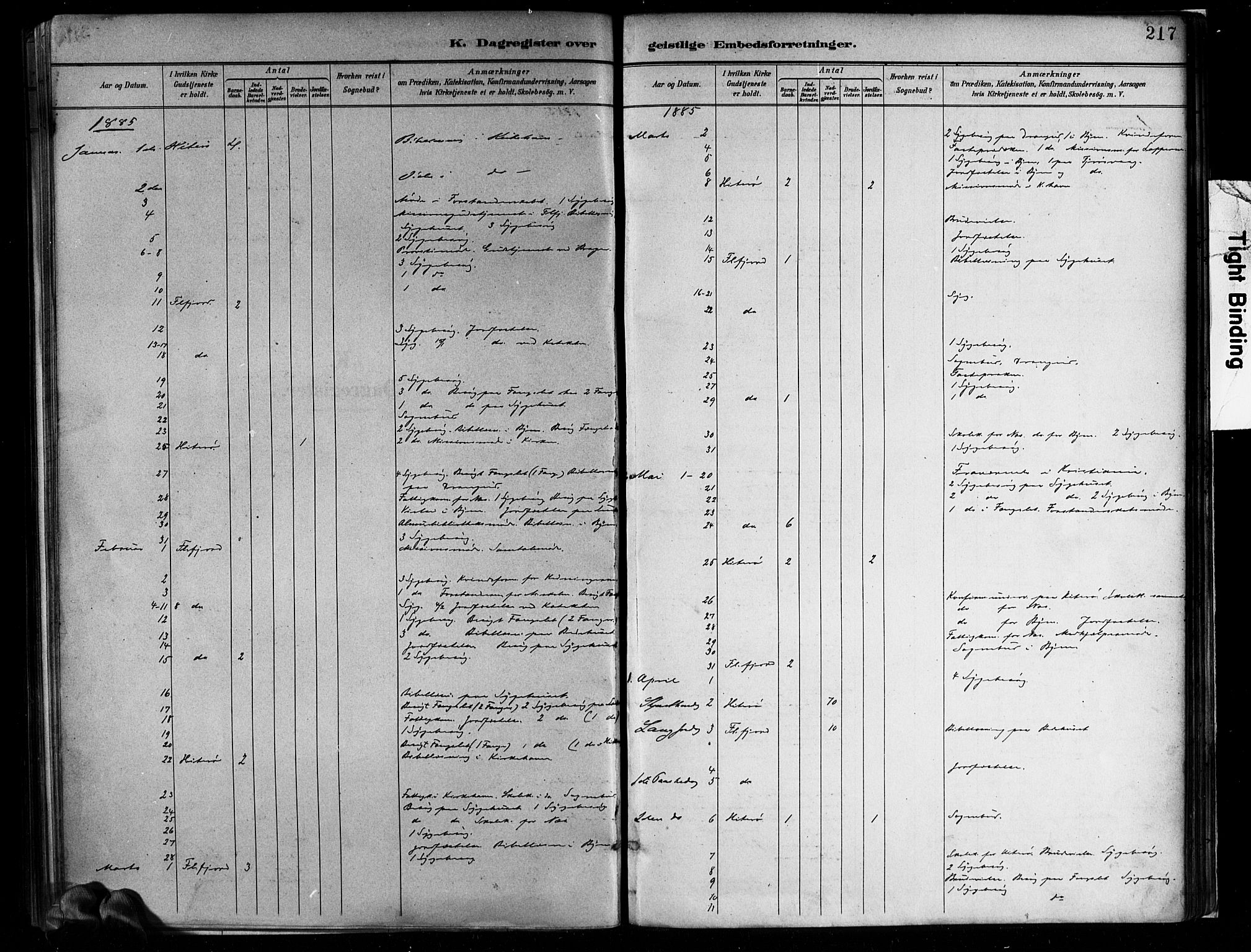 Flekkefjord sokneprestkontor, SAK/1111-0012/F/Fa/Faa/L0001: Parish register (official) no. A 1, 1885-1900, p. 217