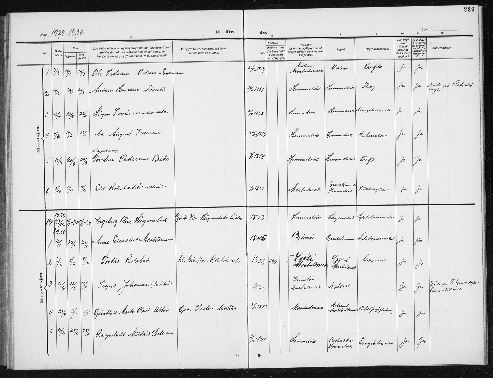 Ministerialprotokoller, klokkerbøker og fødselsregistre - Sør-Trøndelag, SAT/A-1456/617/L0431: Parish register (copy) no. 617C02, 1910-1936, p. 239