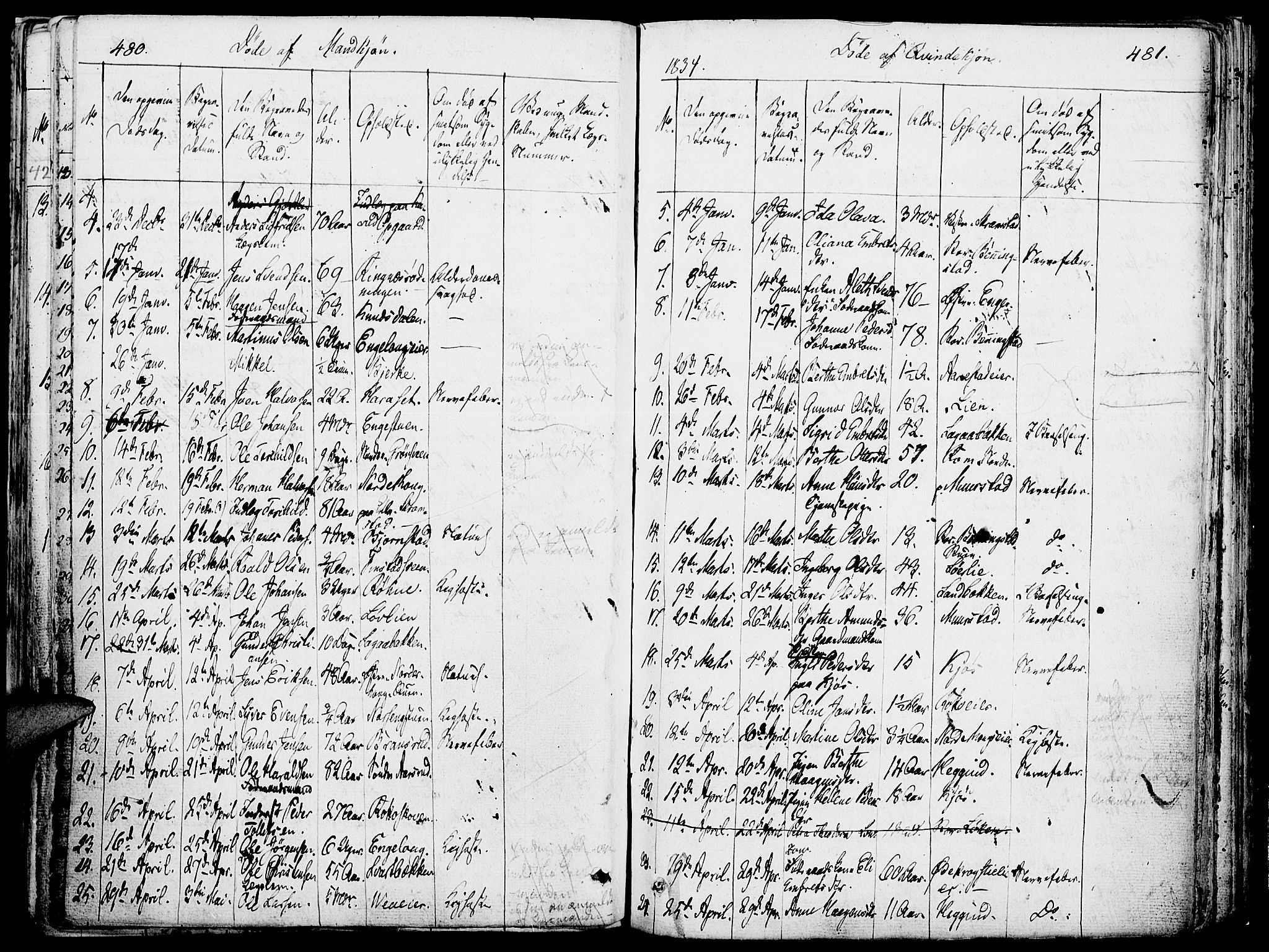 Løten prestekontor, SAH/PREST-022/K/Ka/L0006: Parish register (official) no. 6, 1832-1849, p. 480-481
