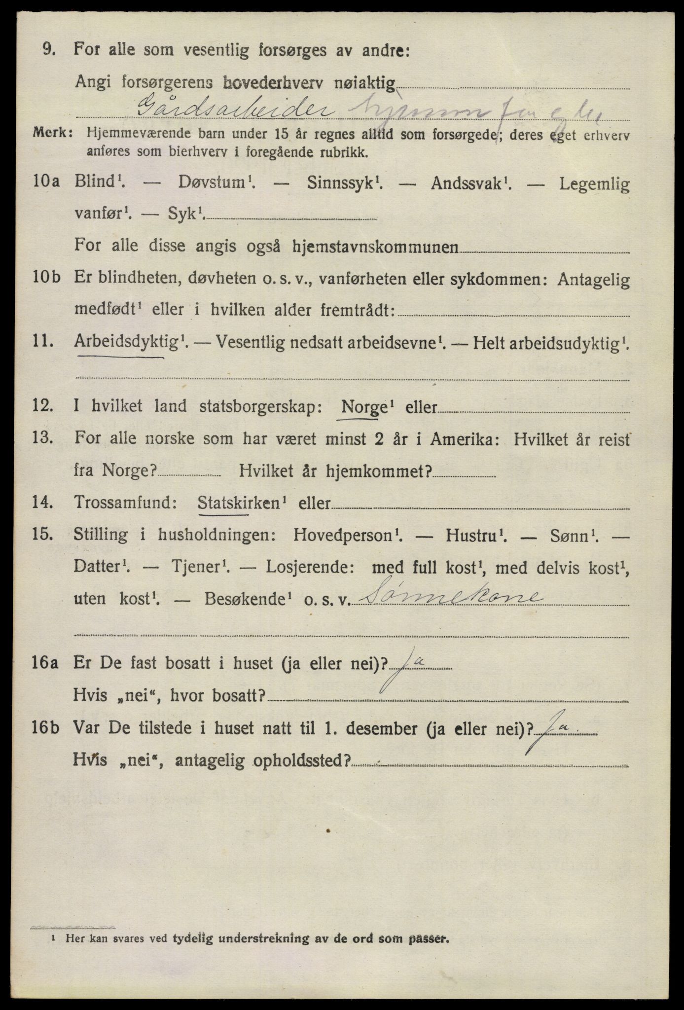 SAO, 1920 census for Nannestad, 1920, p. 9273