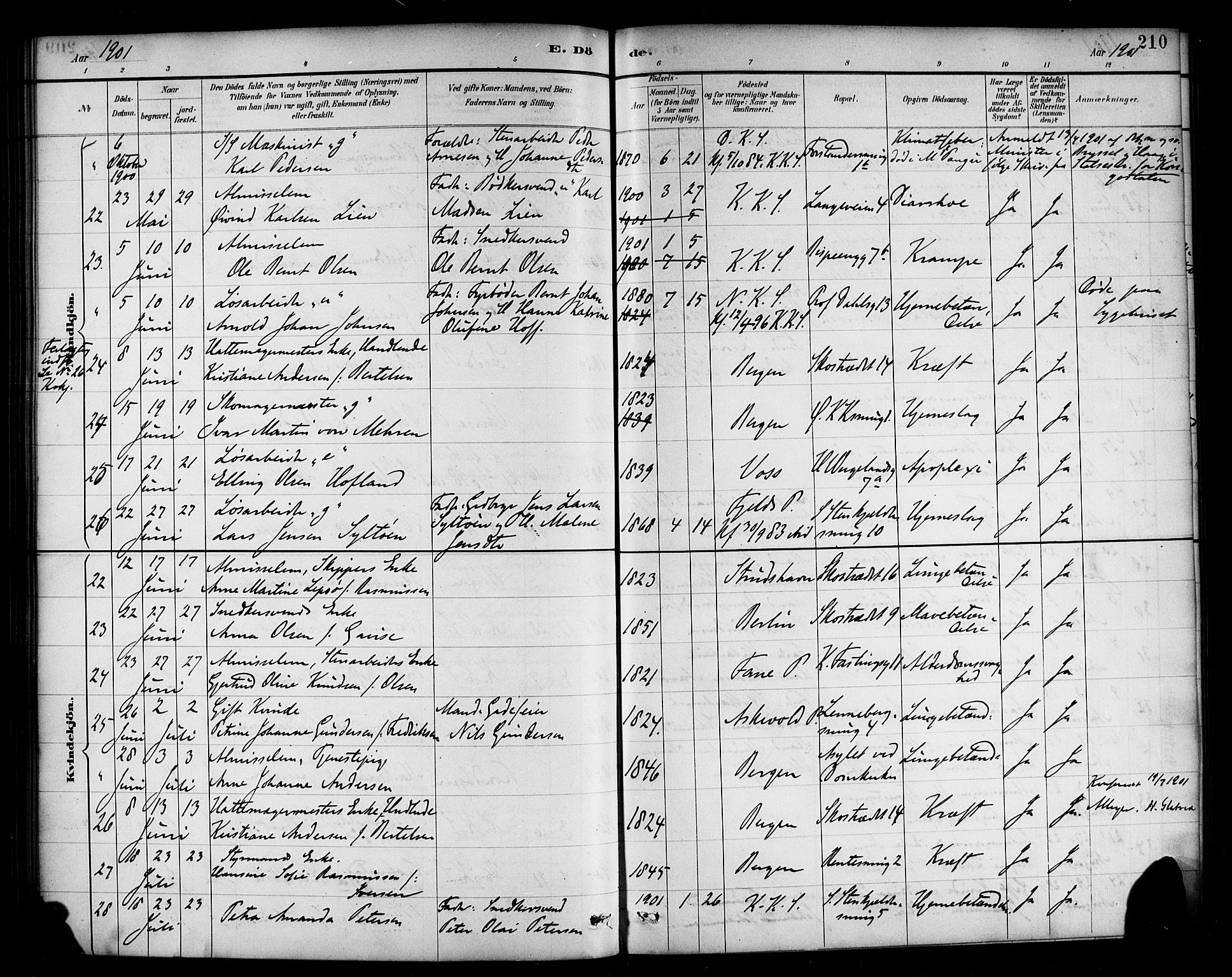 Korskirken sokneprestembete, SAB/A-76101/H/Haa/L0047: Parish register (official) no. E 5, 1884-1910, p. 210