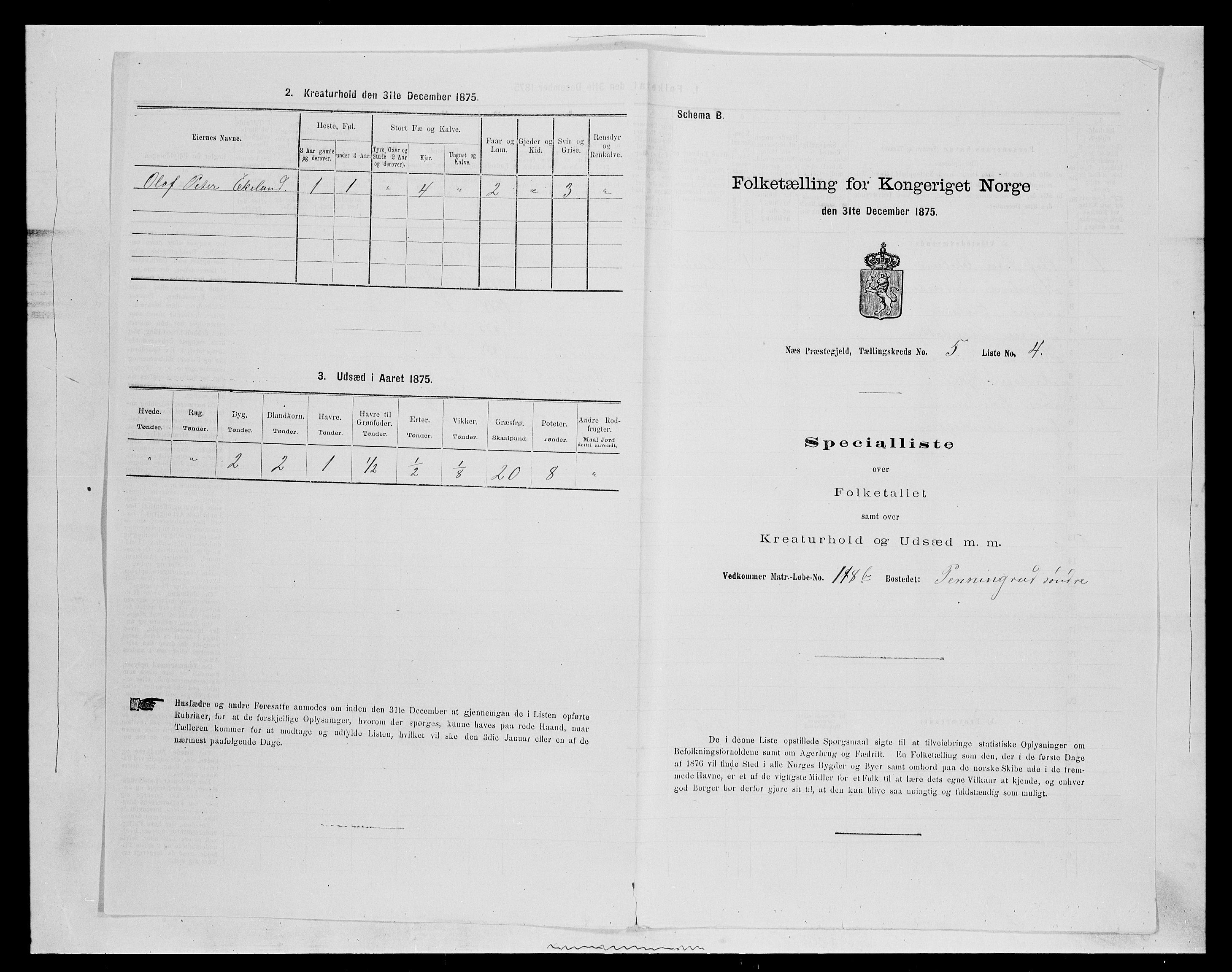 SAH, 1875 census for 0411P Nes, 1875, p. 794