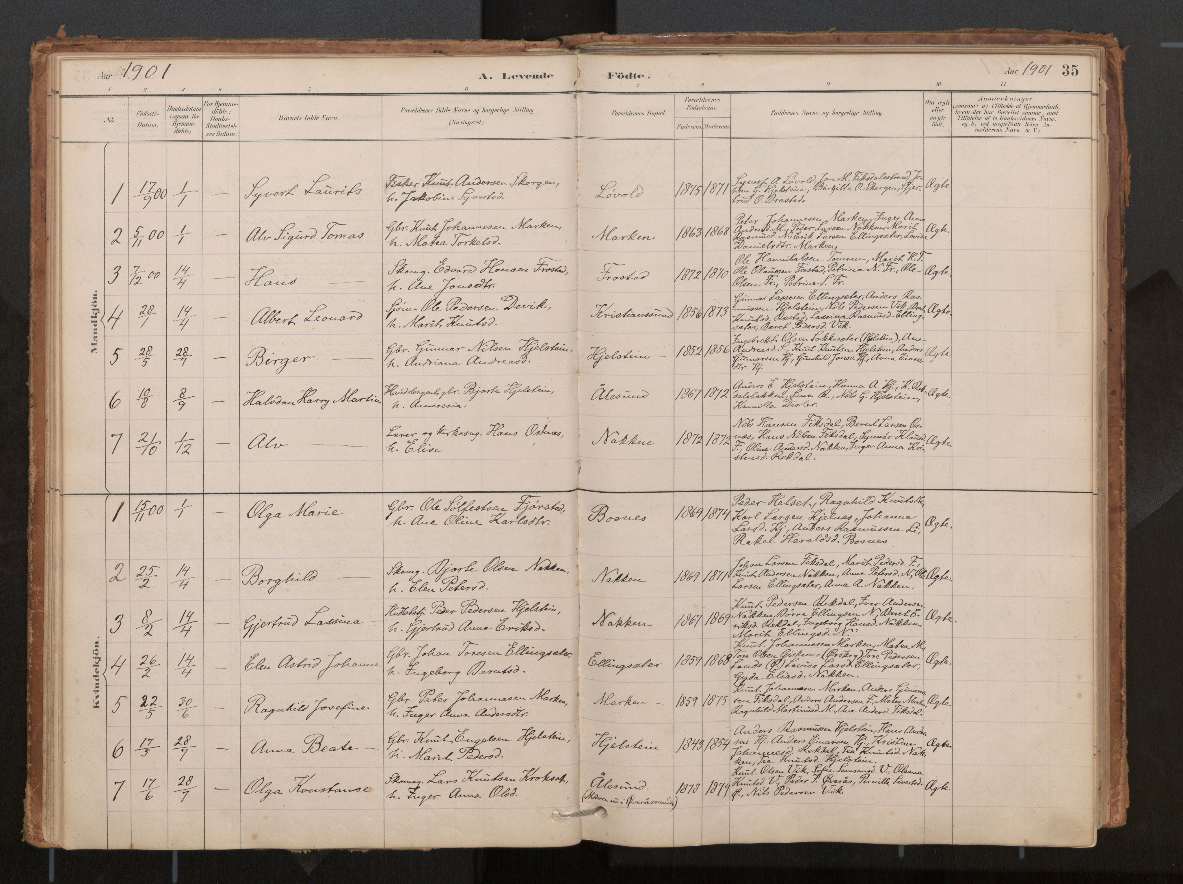 Ministerialprotokoller, klokkerbøker og fødselsregistre - Møre og Romsdal, AV/SAT-A-1454/540/L0540a: Parish register (official) no. 540A02, 1884-1908, p. 35