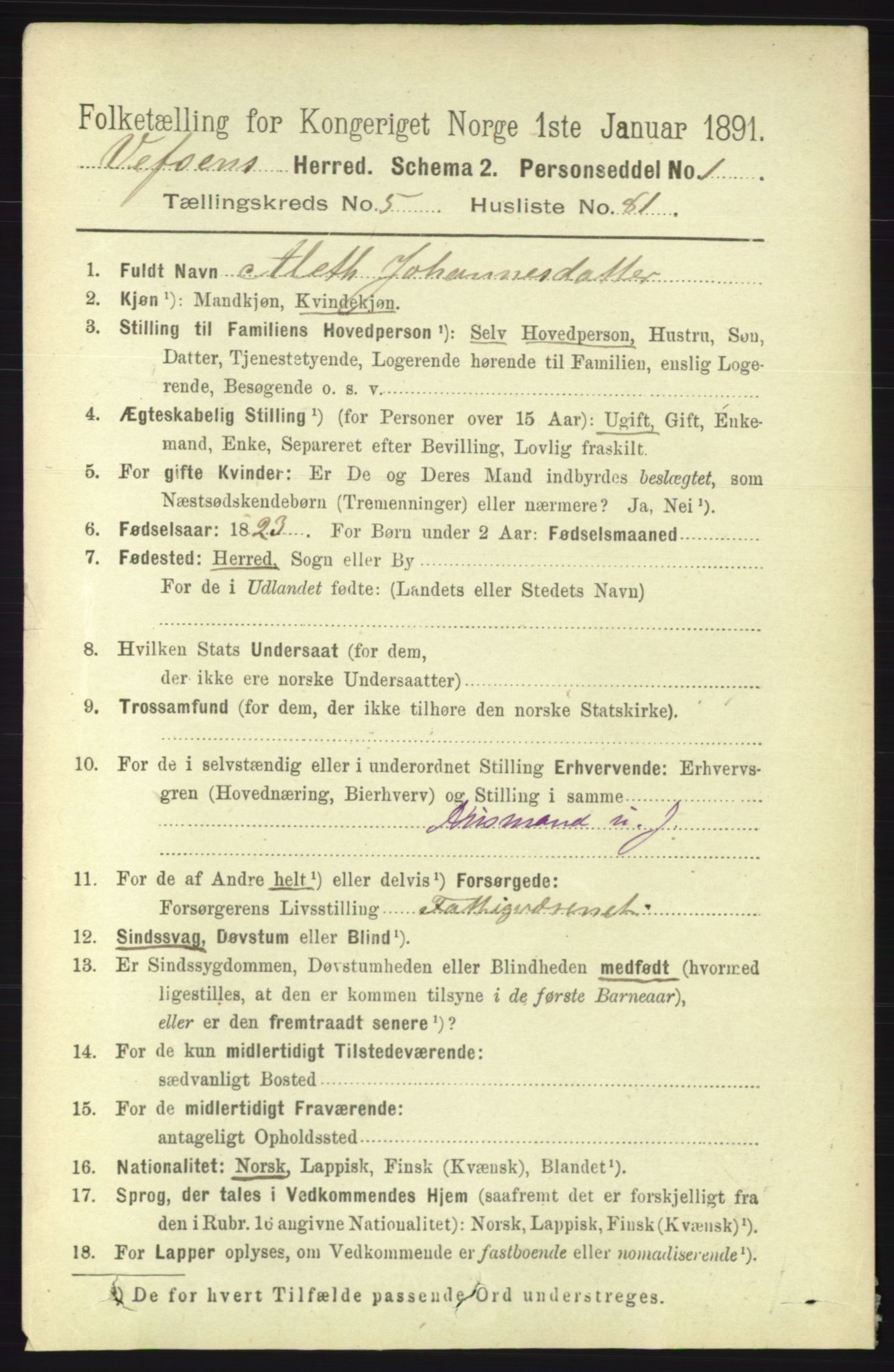 RA, 1891 census for 1824 Vefsn, 1891, p. 2662