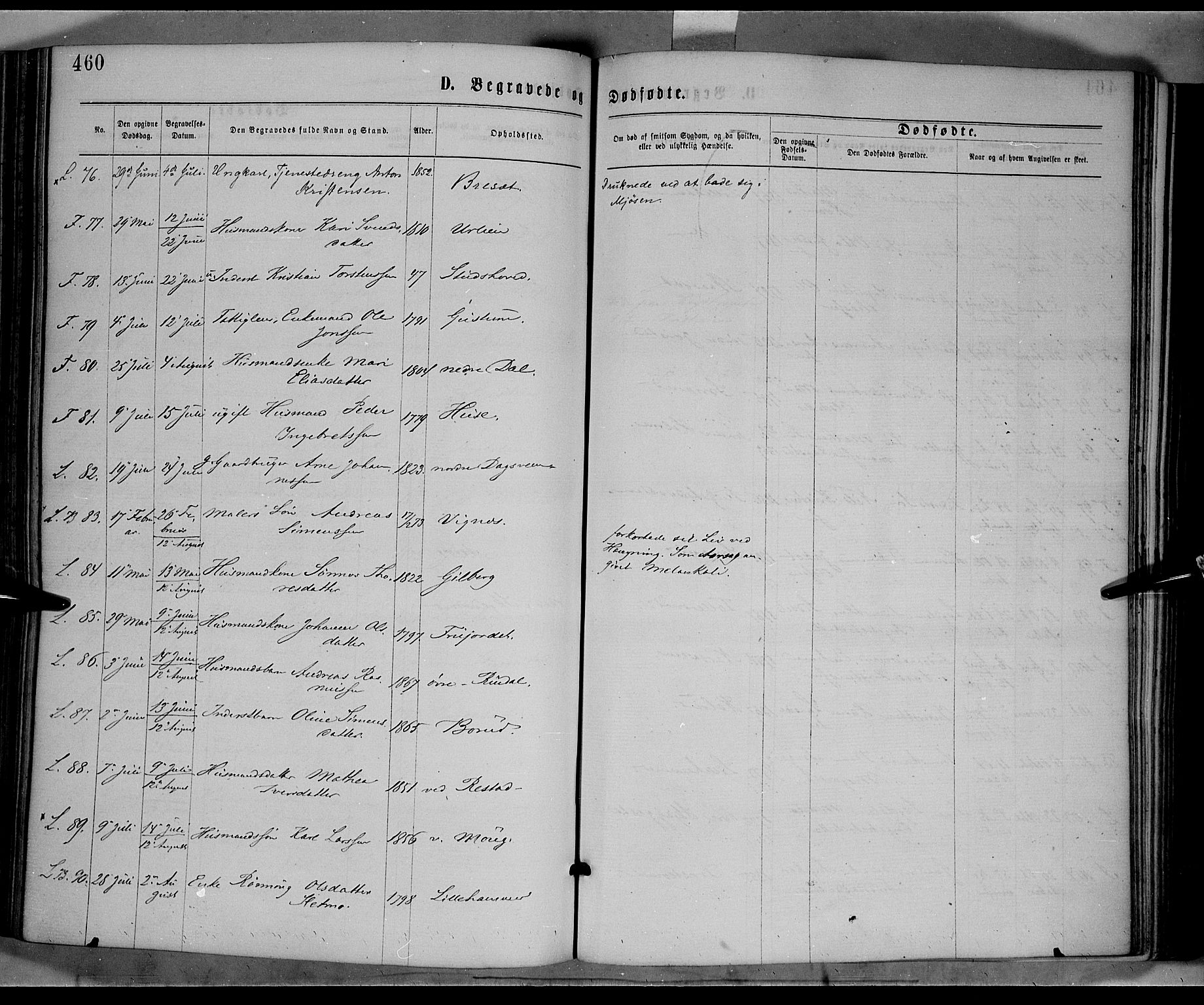 Fåberg prestekontor, AV/SAH-PREST-086/H/Ha/Haa/L0007: Parish register (official) no. 7, 1868-1878, p. 460