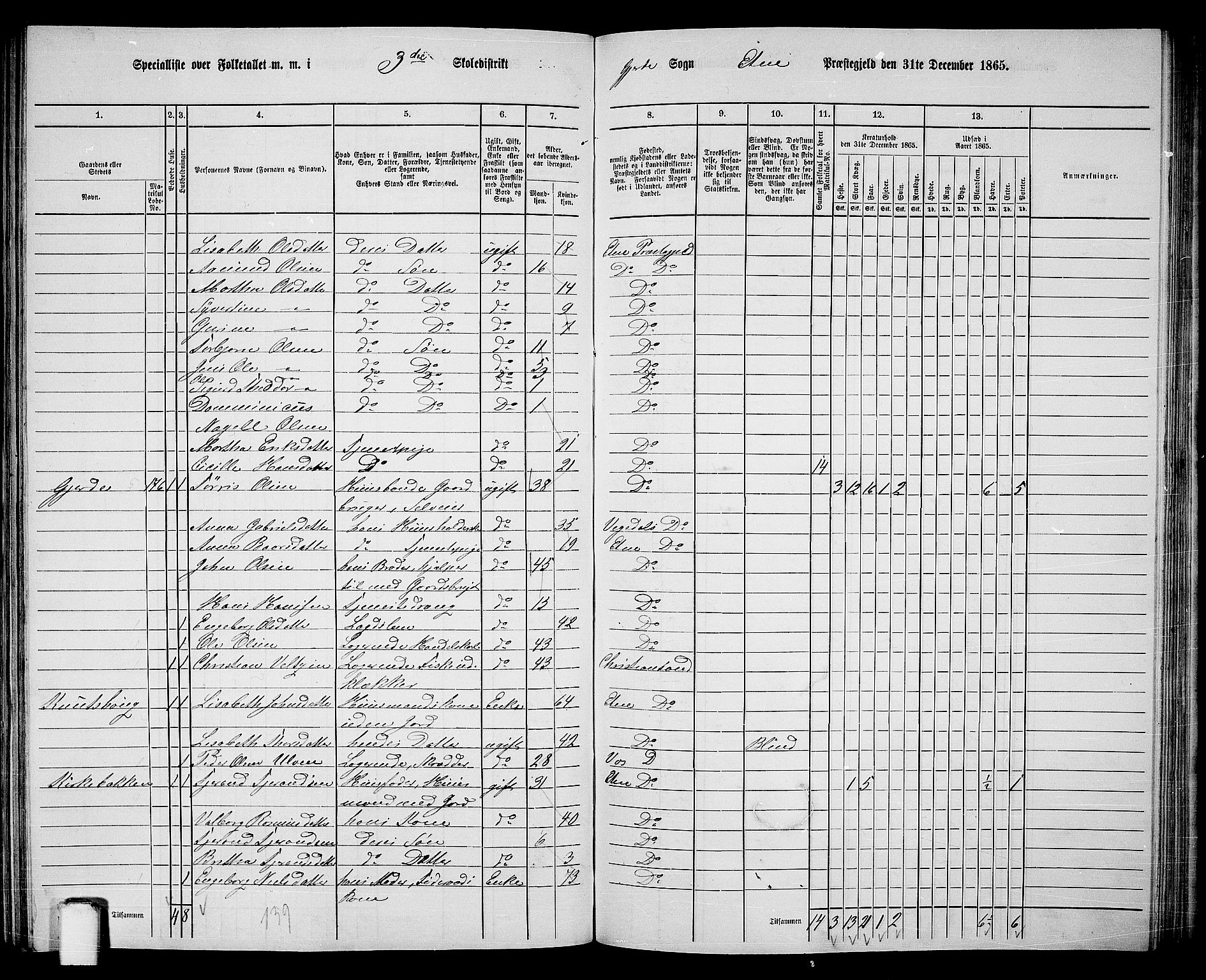 RA, 1865 census for Etne, 1865, p. 127