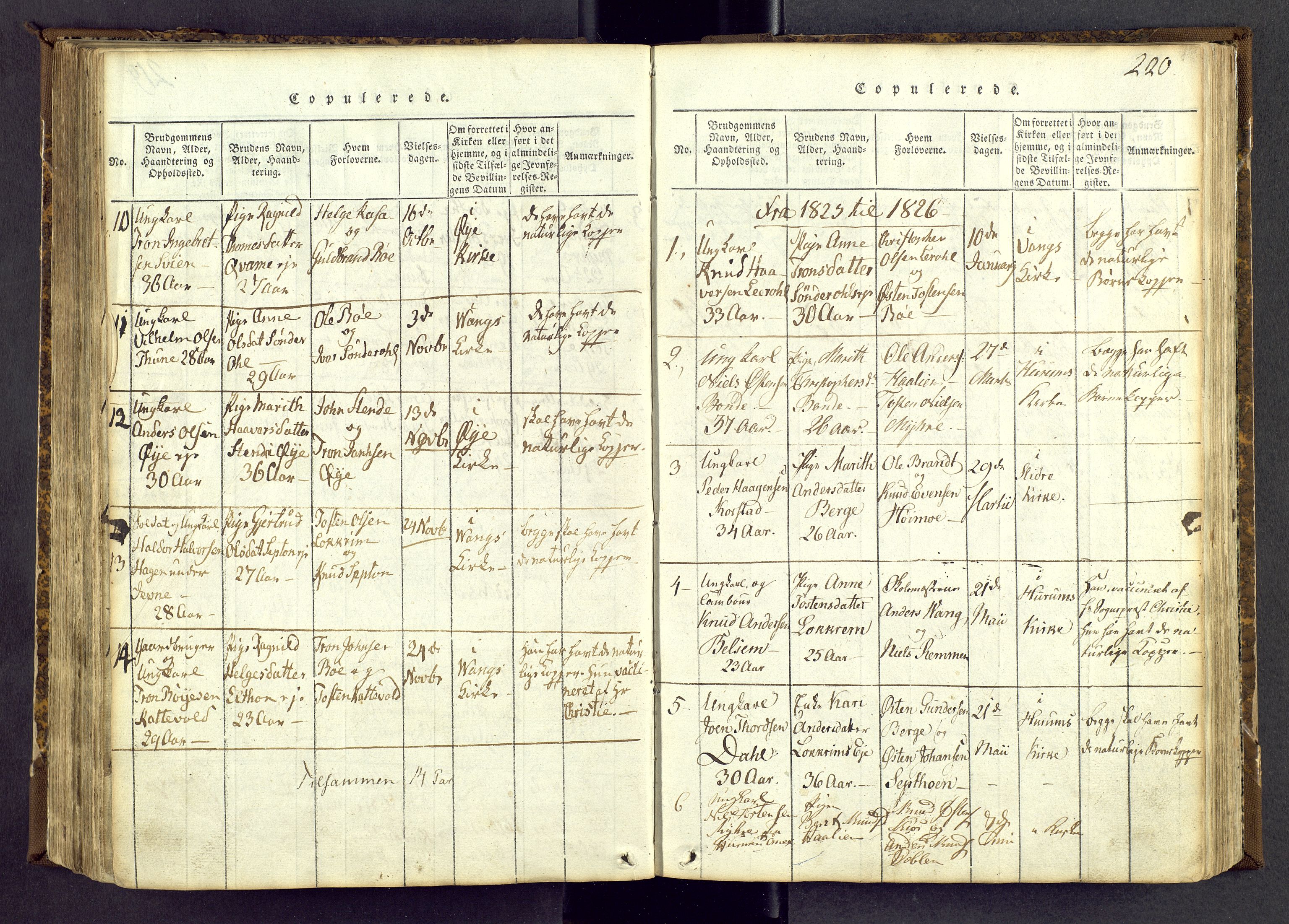 Vang prestekontor, Valdres, SAH/PREST-140/H/Ha/L0004: Parish register (official) no. 4, 1814-1831, p. 220