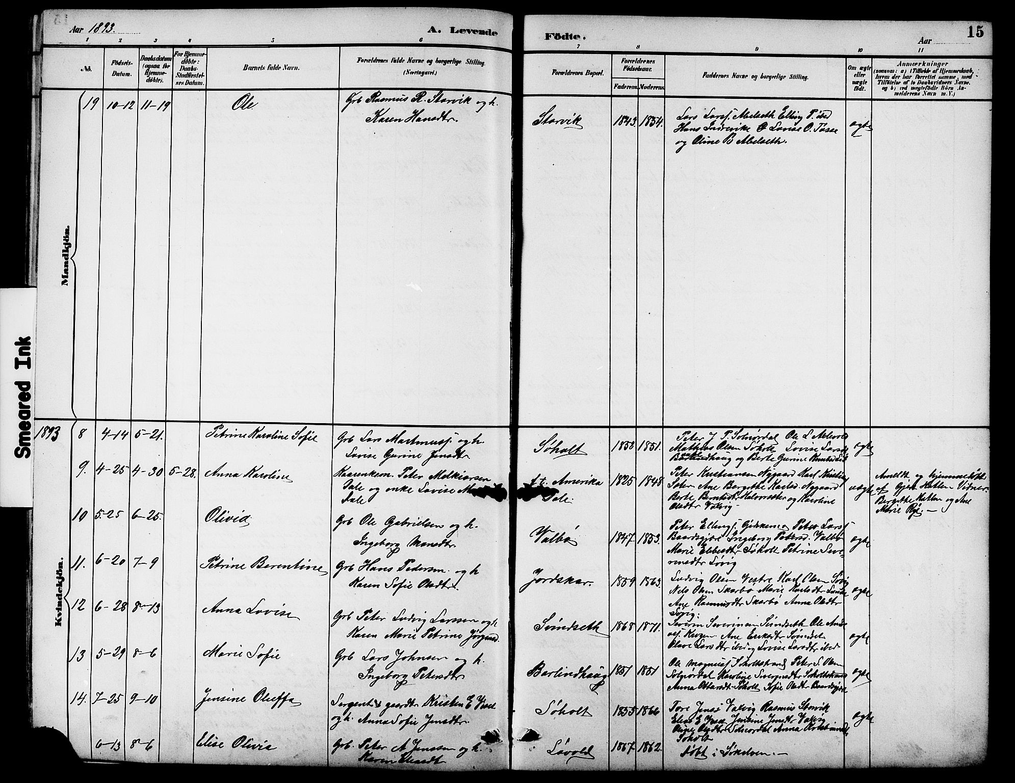 Ministerialprotokoller, klokkerbøker og fødselsregistre - Møre og Romsdal, SAT/A-1454/522/L0327: Parish register (copy) no. 522C06, 1890-1915, p. 15