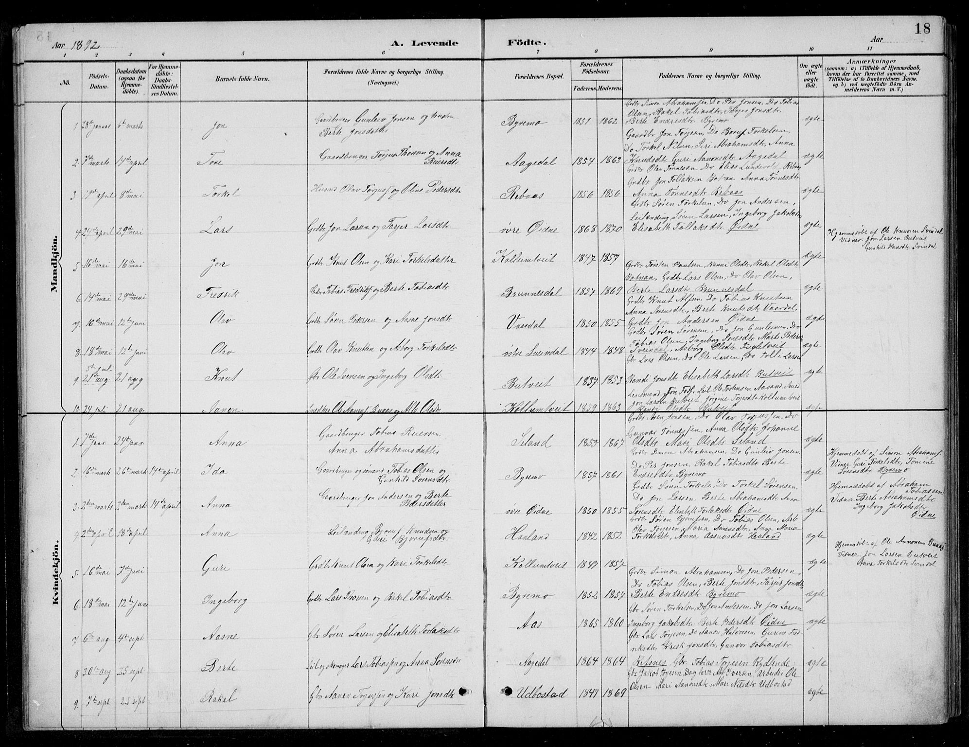 Bjelland sokneprestkontor, SAK/1111-0005/F/Fb/Fbc/L0003: Parish register (copy) no. B 3, 1887-1924, p. 18
