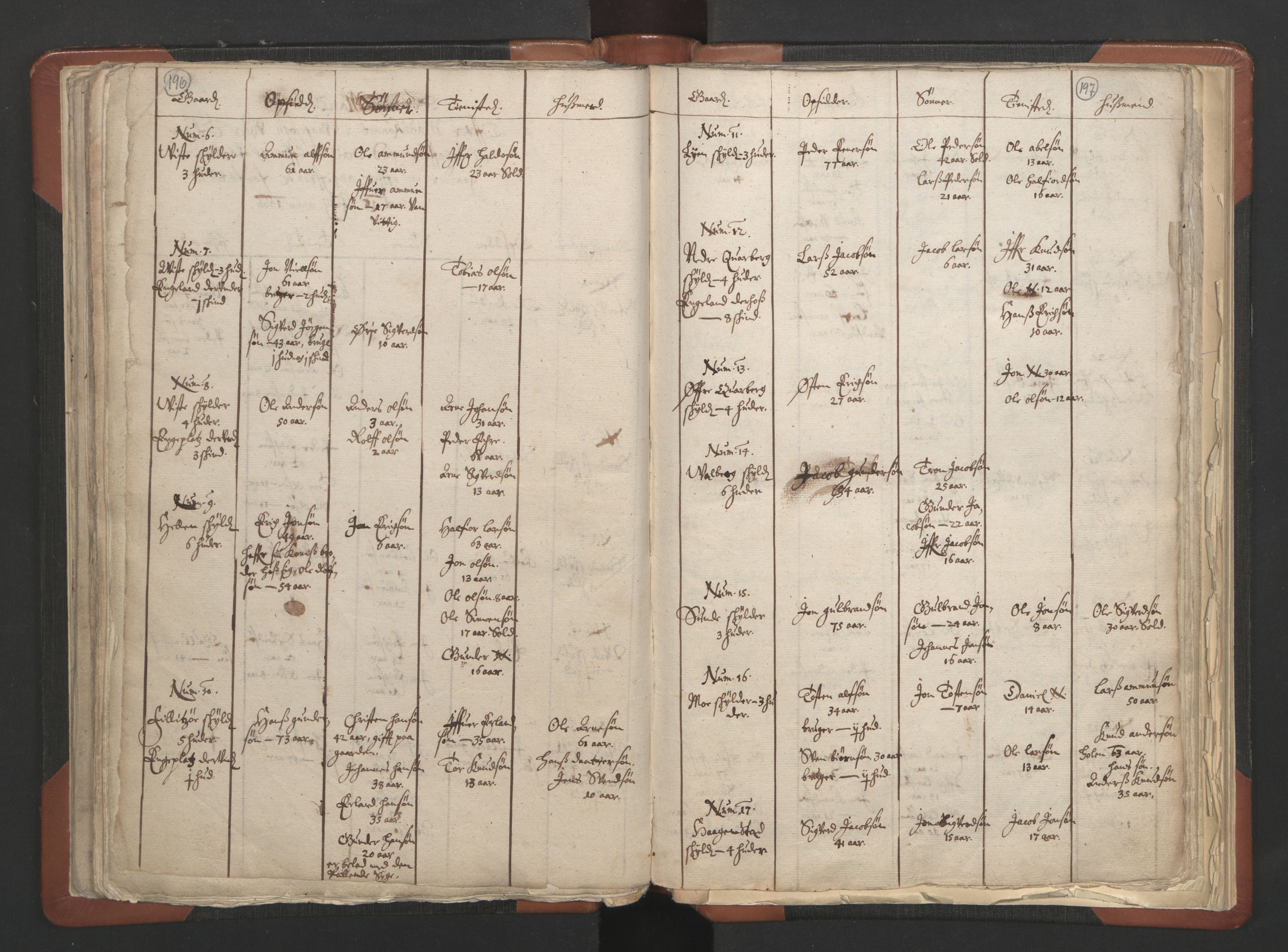 RA, Vicar's Census 1664-1666, no. 6: Gudbrandsdal deanery, 1664-1666, p. 196-197
