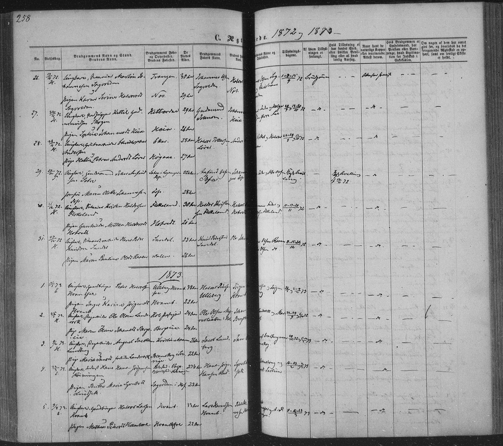 Sandsvær kirkebøker, AV/SAKO-A-244/F/Fa/L0007: Parish register (official) no. I 7, 1869-1877, p. 258