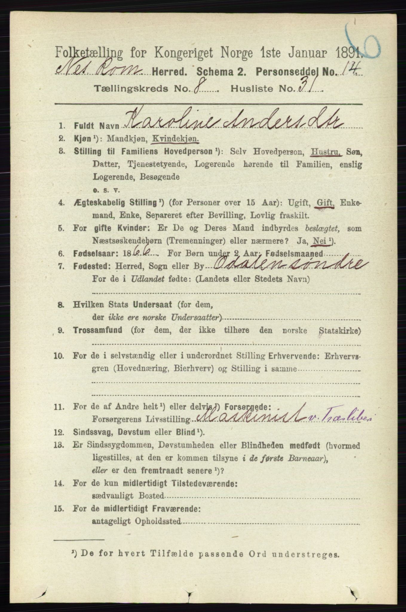 RA, 1891 census for 0236 Nes, 1891, p. 4791
