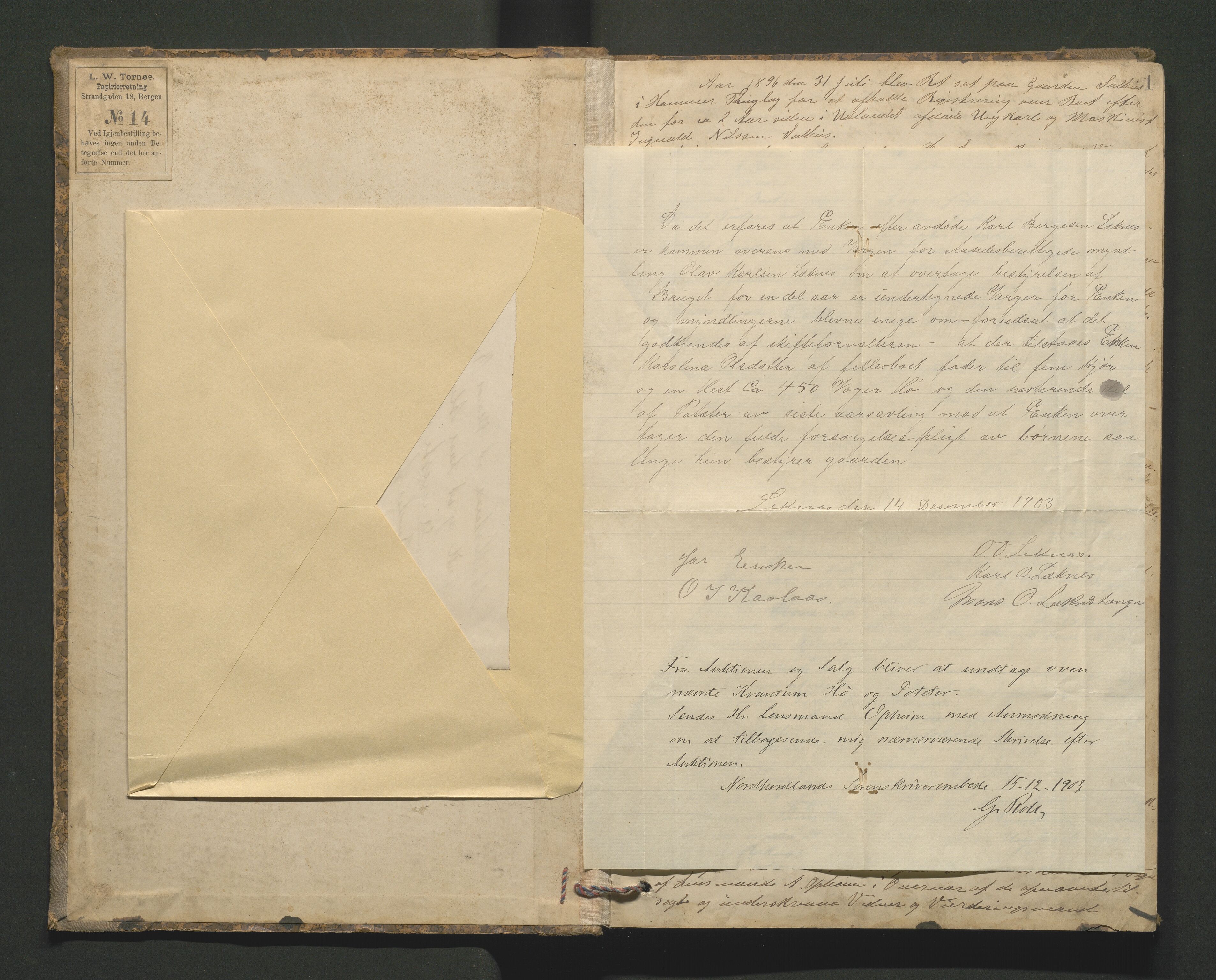 Lensmannen i Hamre, AV/SAB-A-32601/0006/L0002: Registreringsprotokoll, 1896-1904