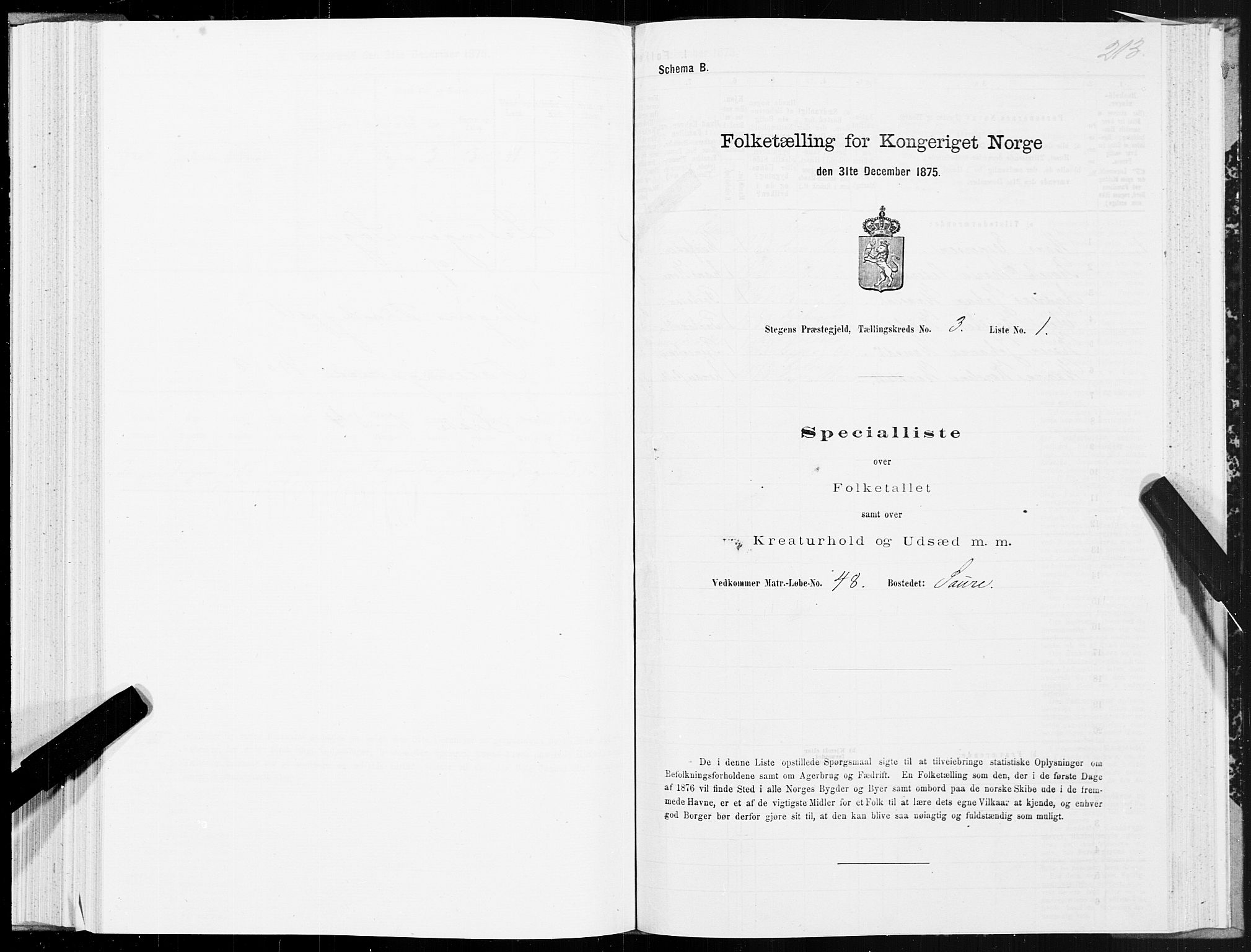 SAT, 1875 census for 1848P Steigen, 1875, p. 1213