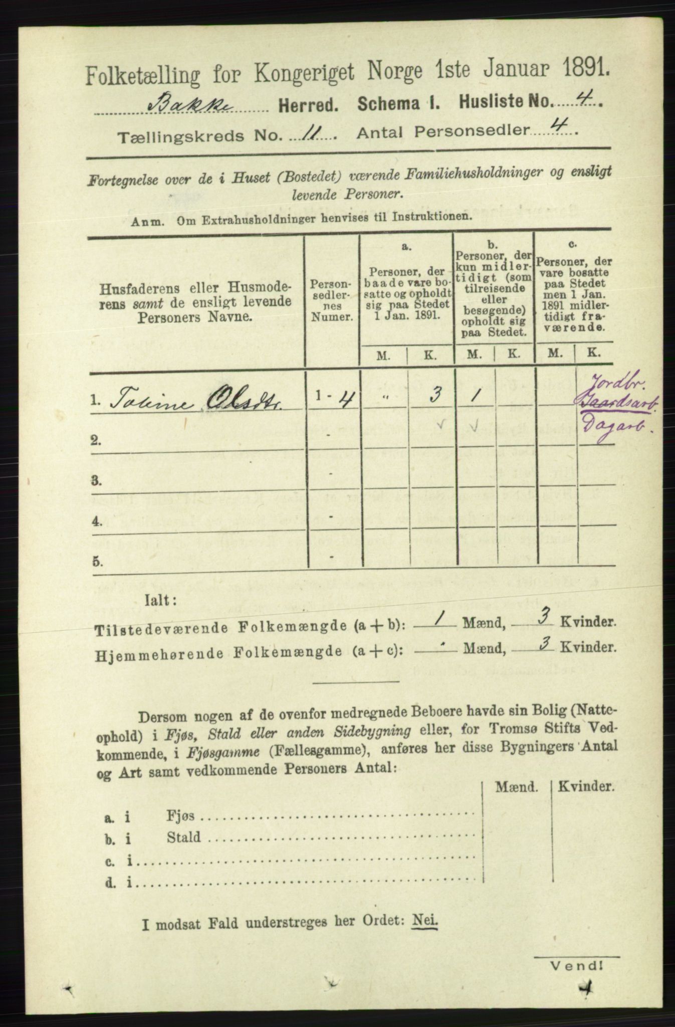 RA, 1891 census for 1045 Bakke, 1891, p. 2206