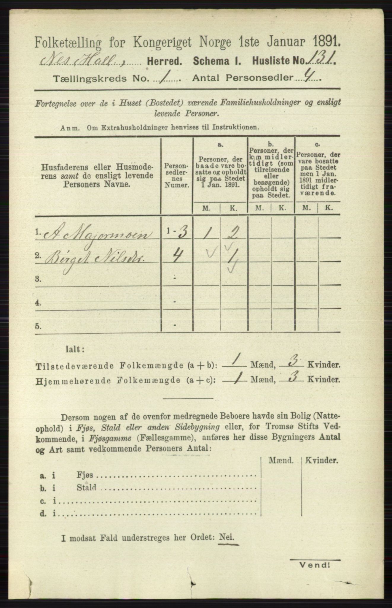 RA, 1891 census for 0616 Nes, 1891, p. 173